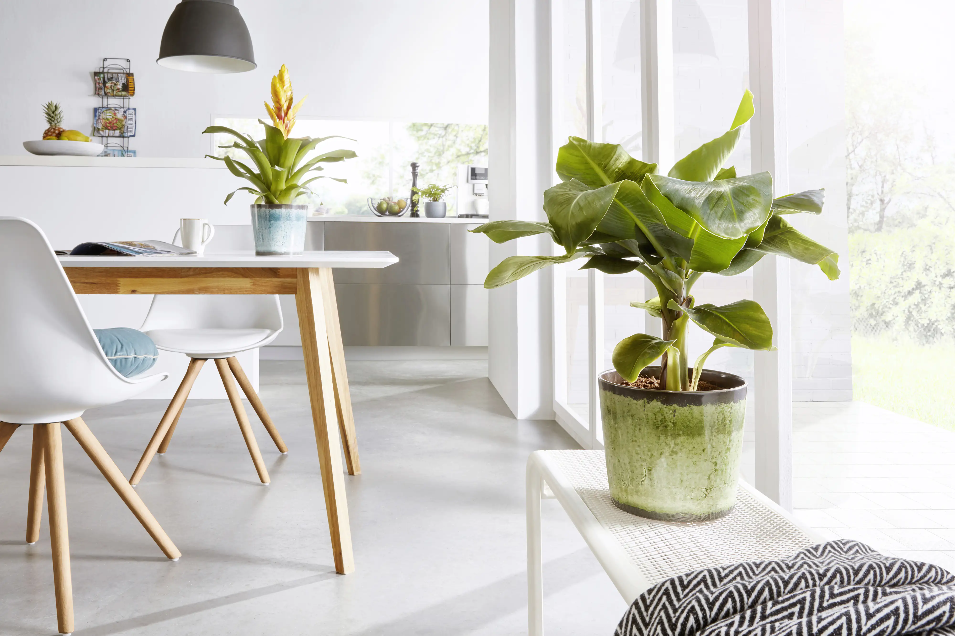 Scheurich Übertopf Tradition Ø 18 x 15,6 cm meadow glaze