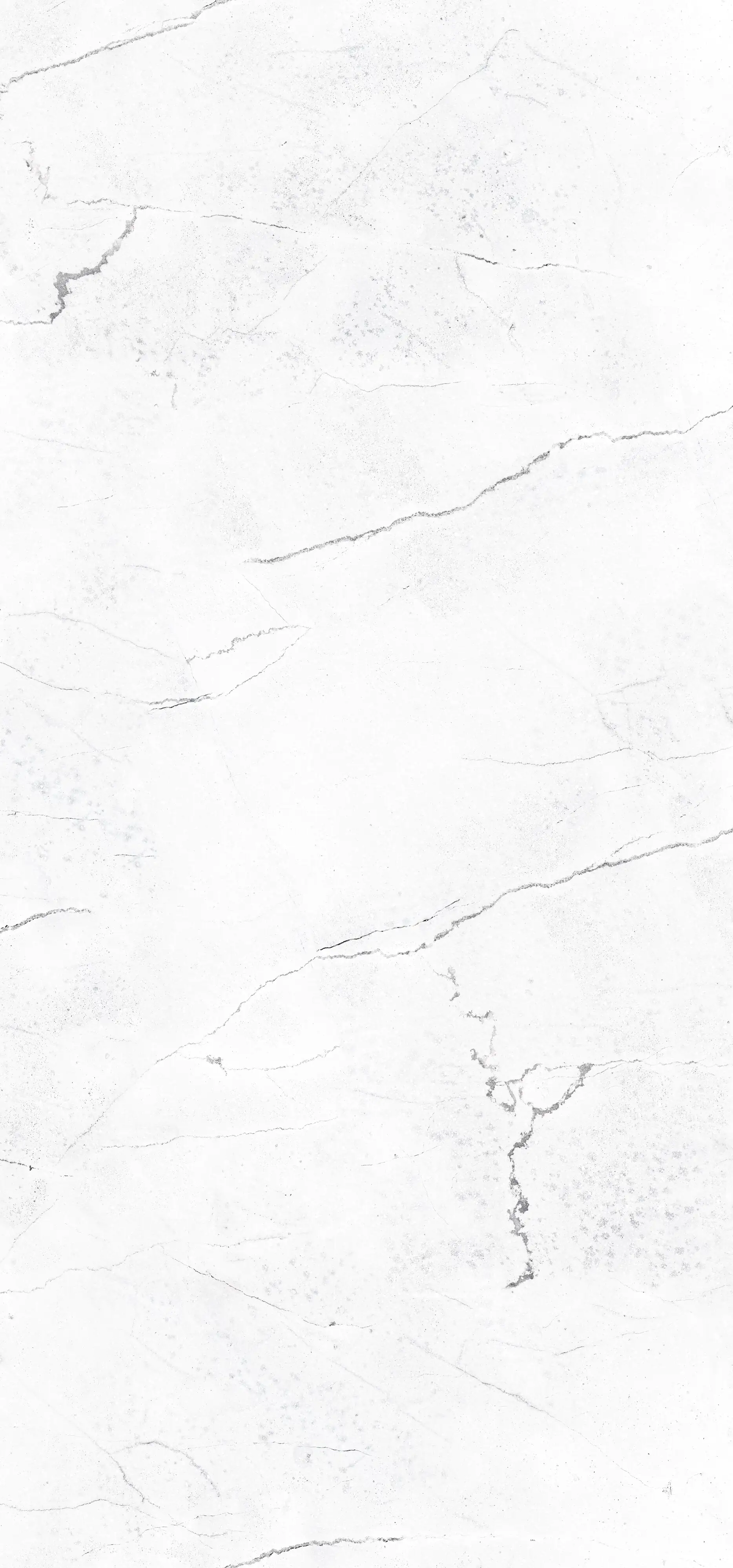 Wandpaneel Rocko Carrara 265 x 123 x 0,4 cm weiß