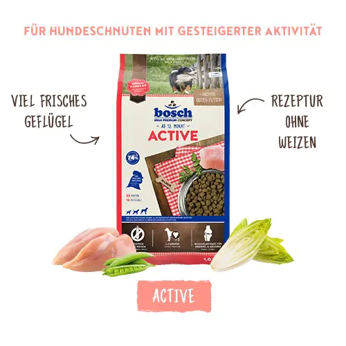 Bosch Active Trockenfutter für aktive Hunde Adult 1 kg mit Geflügel Bosch Active Trockenfutter für aktive Hunde Adult 1 kg mit Geflügel