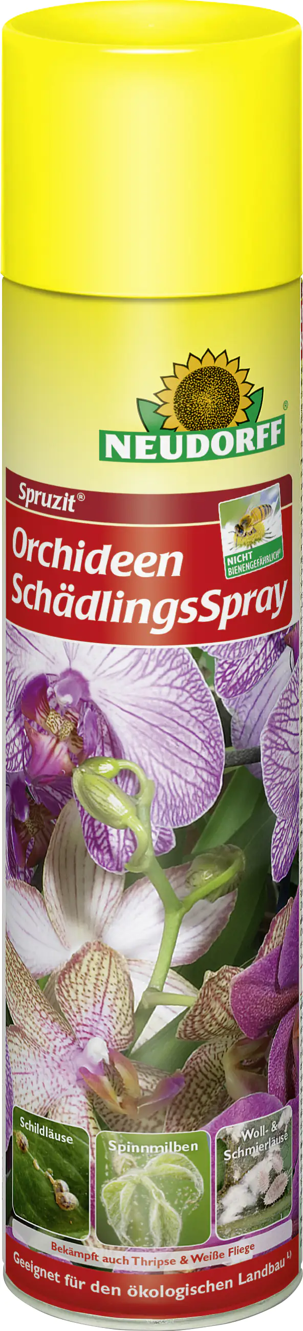 Spruzit Orchideen-Schädlingsspray 300 ml