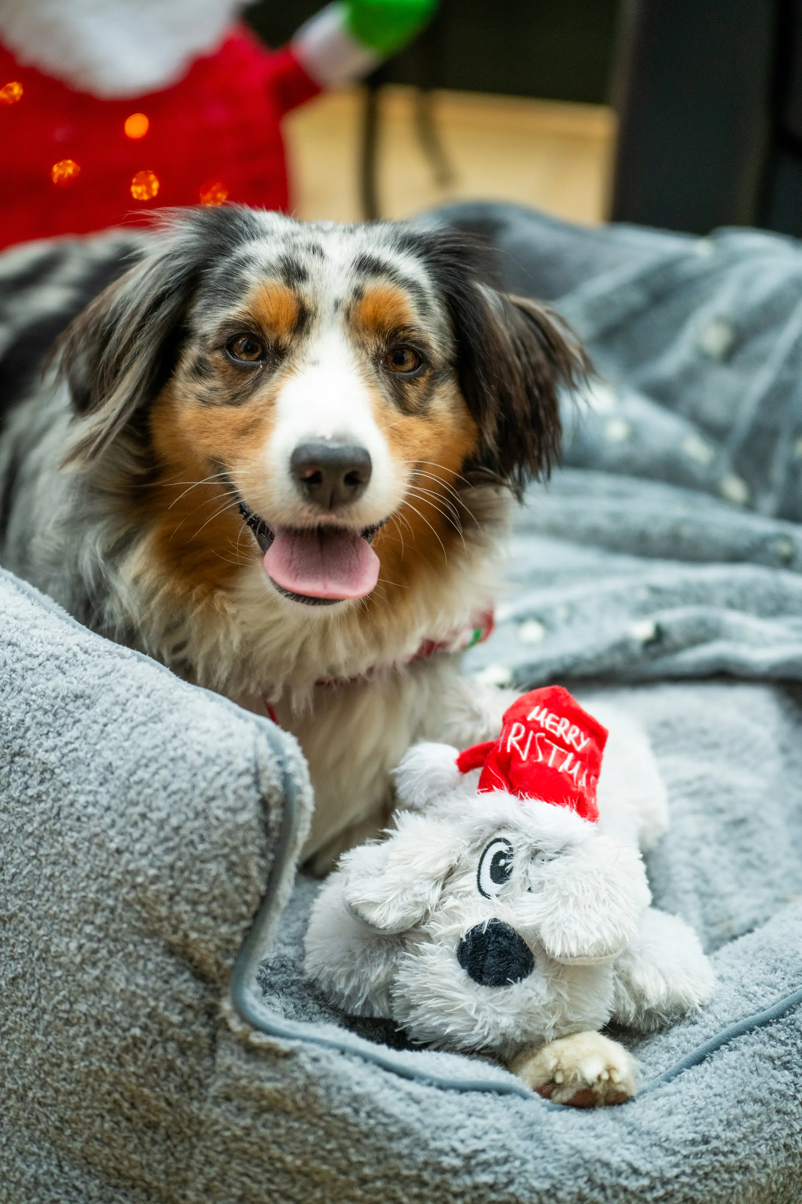 Nobby Xmas Plüschhund Schlappi grau 28 cm Nobby Xmas Plüschhund Schlappi grau 28 cm