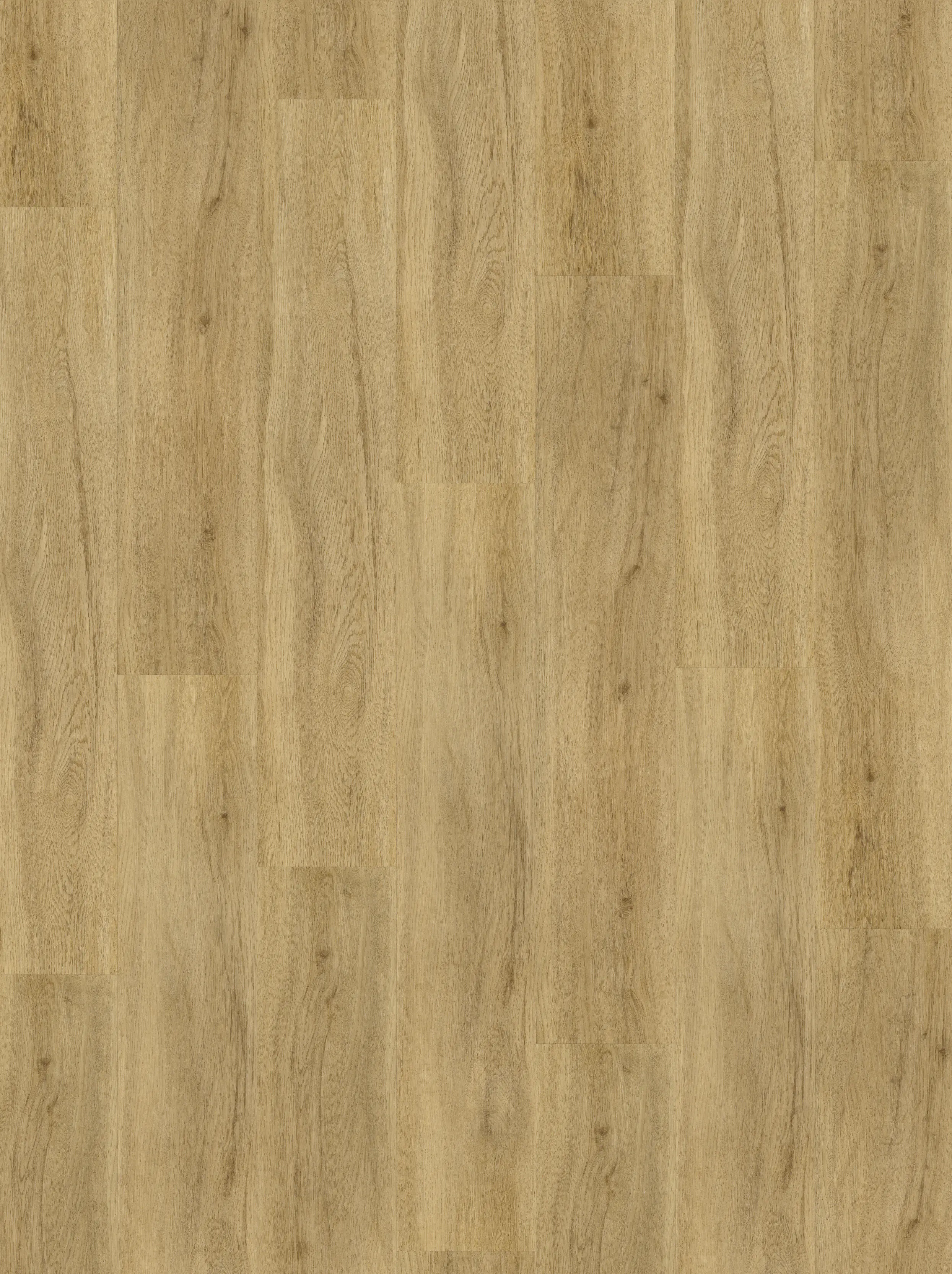 Parador Vinylboden mit Trillschalldämmung Basic 30 Eiche Calista