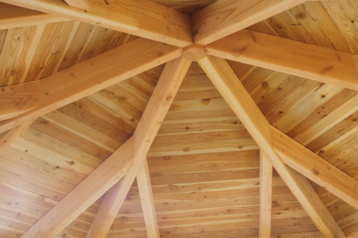 SKAN HOLZ Pavillon Colmar 2 Douglasie, natur