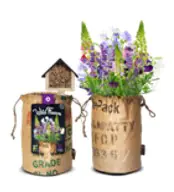 Baza Seeds Bienenhotel mit Bio Wildblumen violett