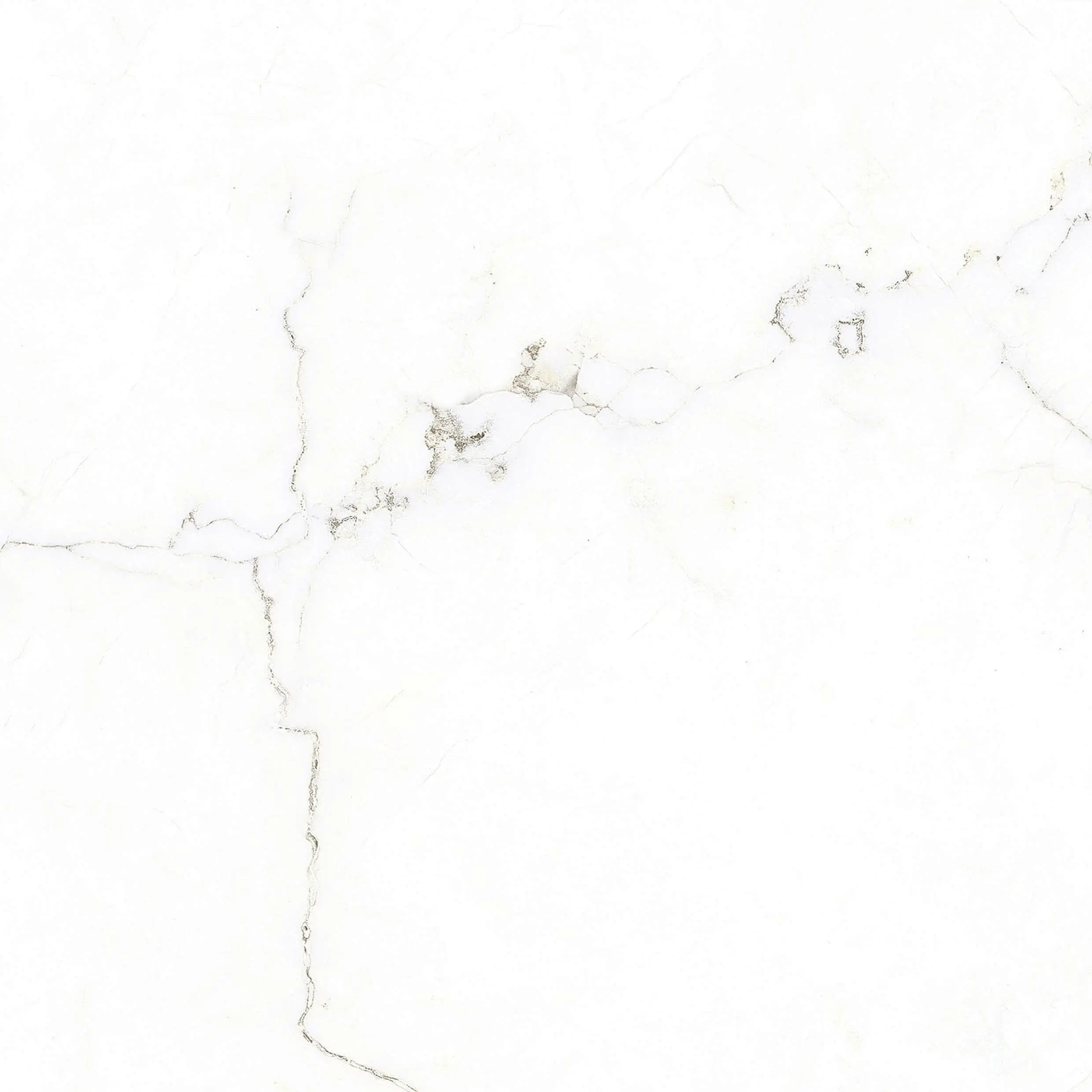 Wetwall Alloy Wandpaneel  Bianco Venato 60 x 244 cm
