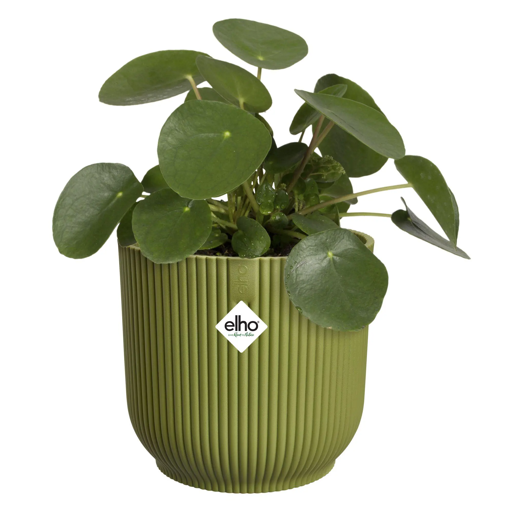 Elho Blumentopf Vibes Fold Kunststoff grün Ø 14 x 13 cm