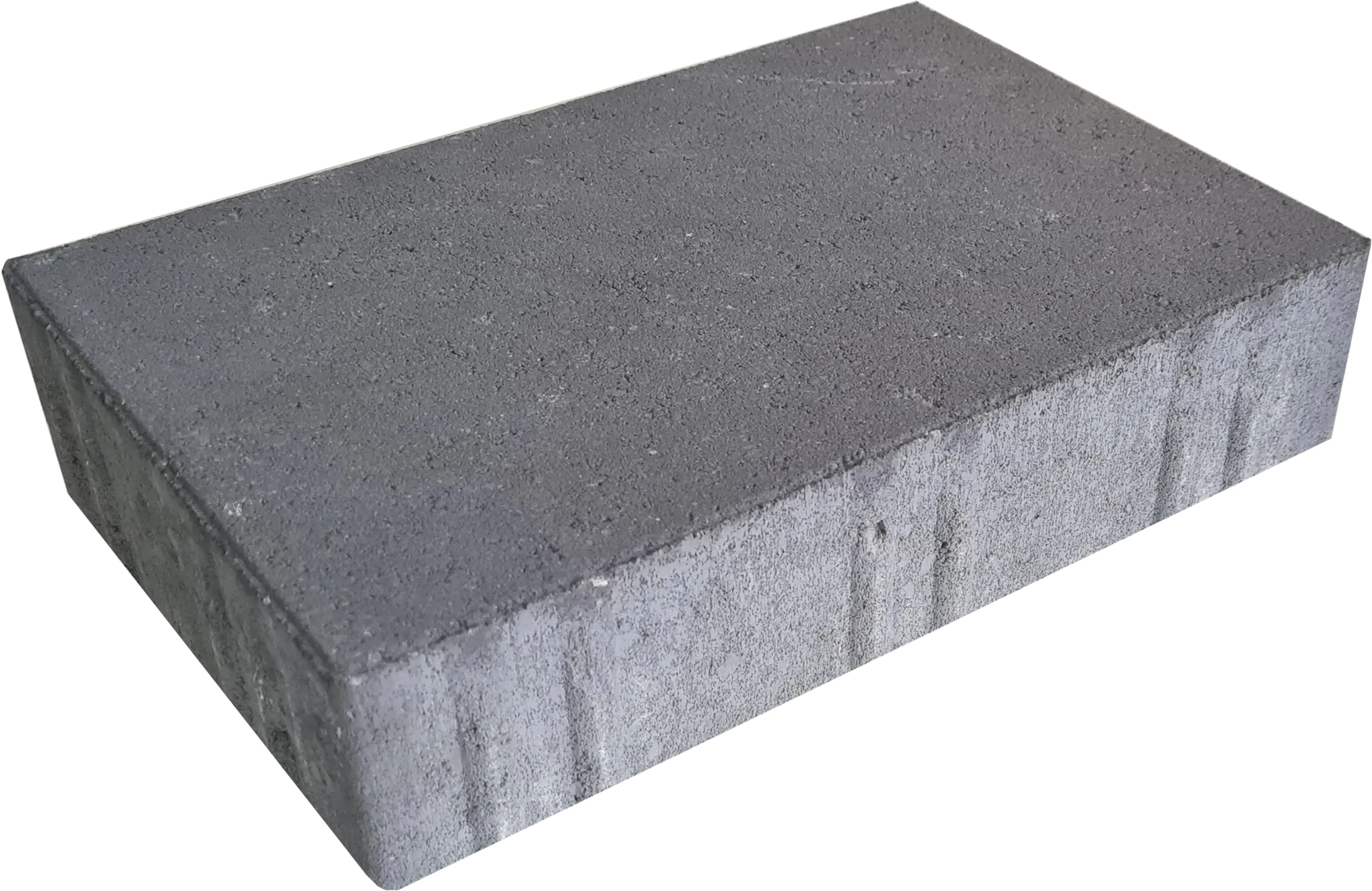 EHL Pflasterstein Veria 30 x 20 x 8 cm anthrazit