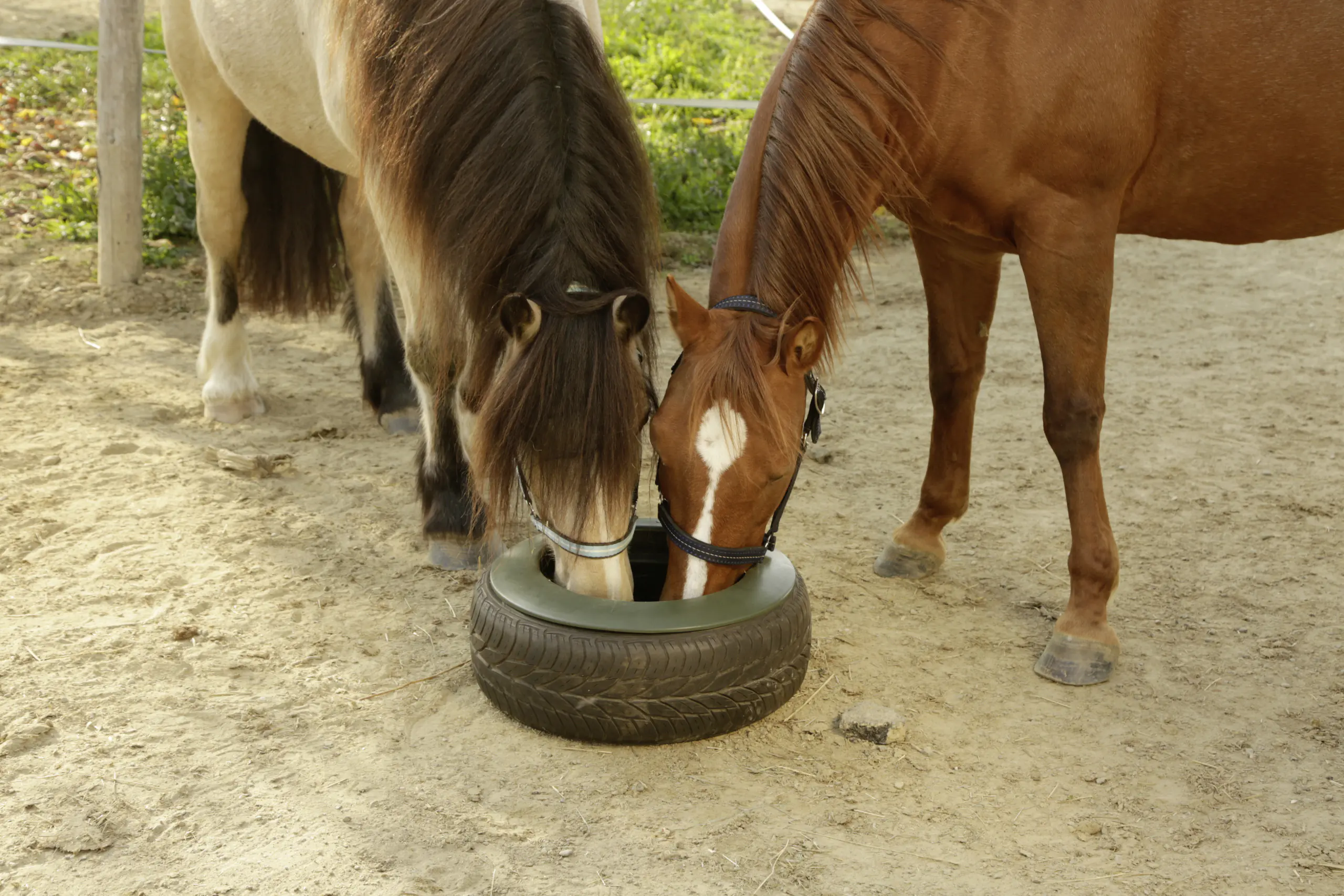Kerbl Reifentrog 15 Liter