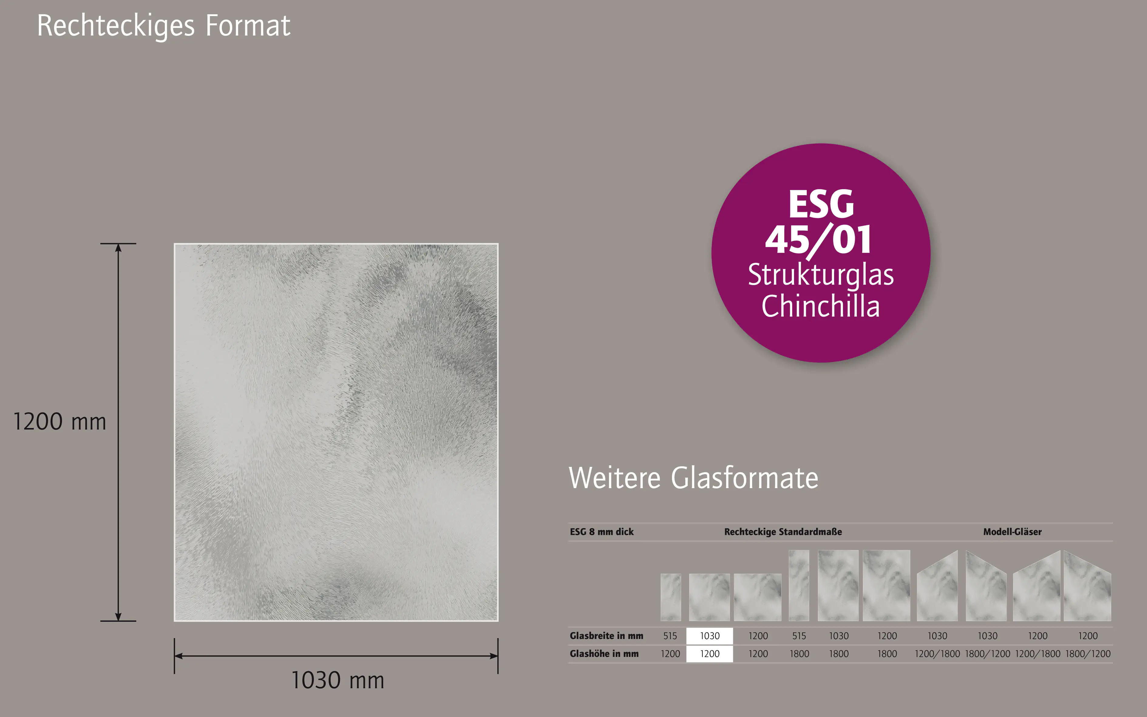 Ambiente Glaszaun B x H: 103 cm x 120 cm, gehärtetes 8 mm Glas Ambiente Glaszaun B x H: 103 cm x 120 cm, gehärtetes 8 mm Glas