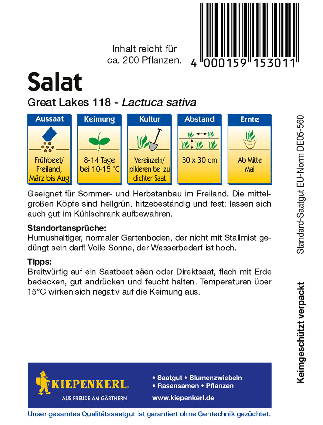 Kiepenkerl Eissalat Great Lakes 118 Kiepenkerl Eissalat Great Lakes 118