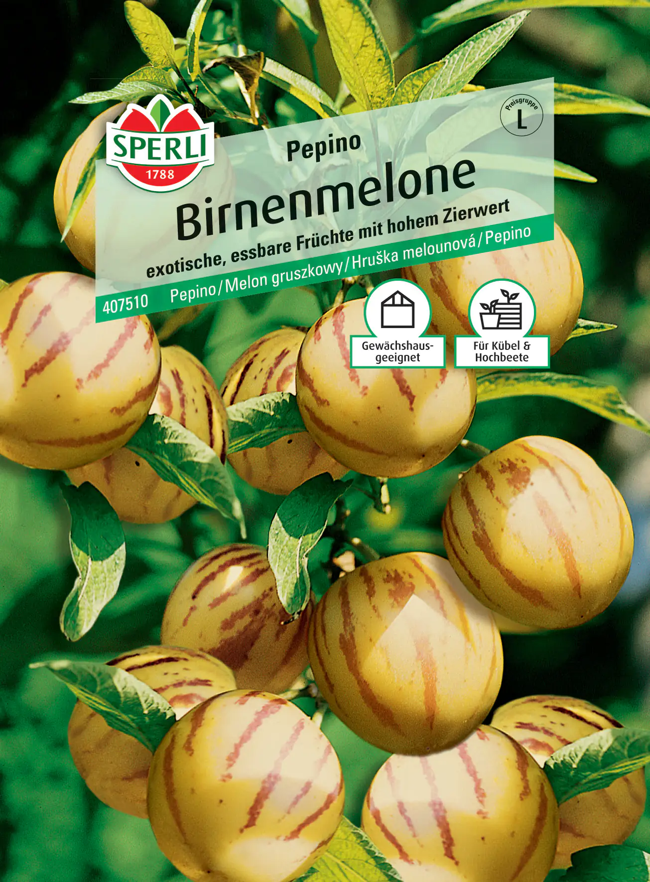 Sperli Birnenmelone Pepino