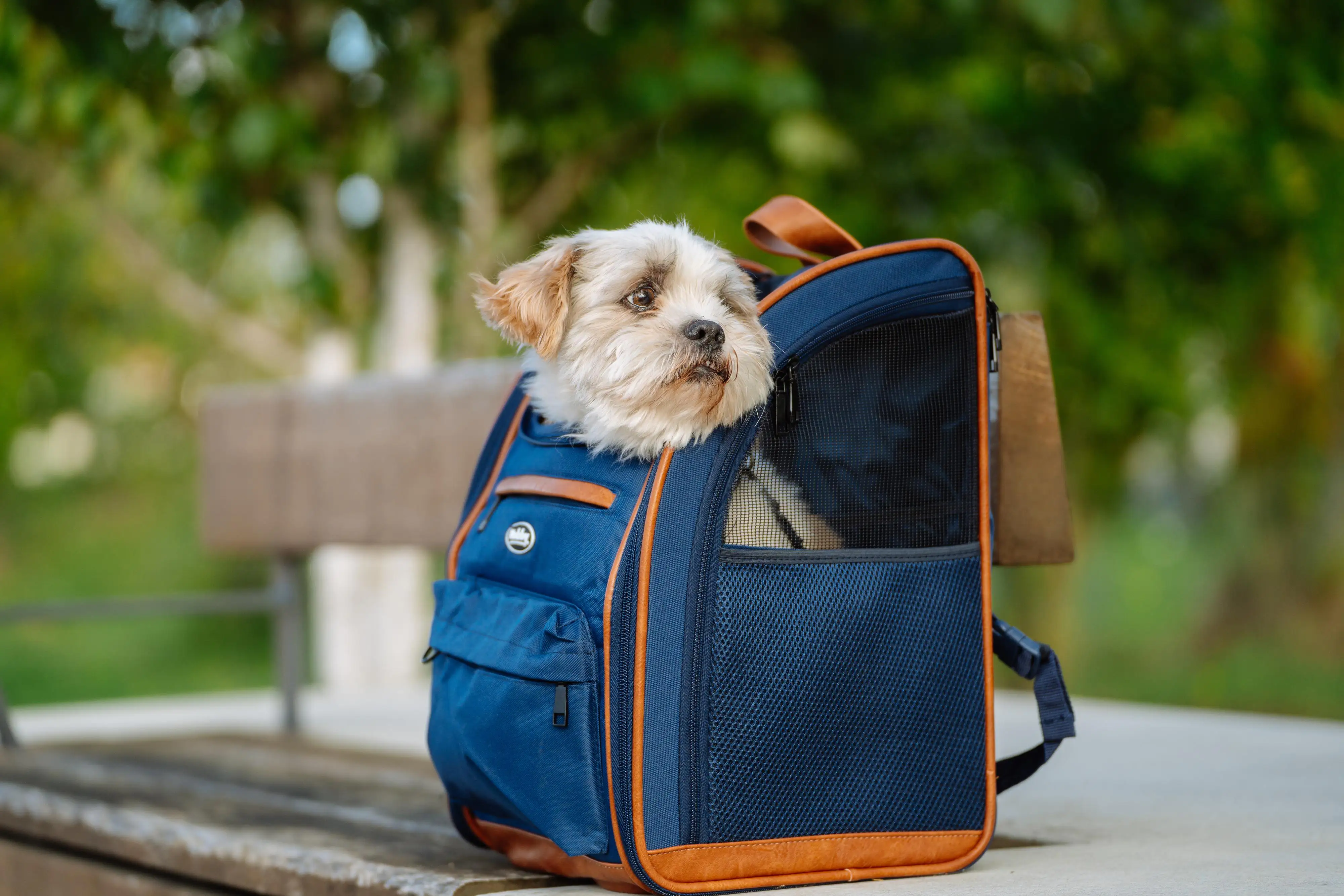 Nobby Tragerucksack Tomek blau