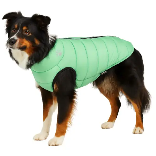 Nobby Hundemantel Light cascade-grau