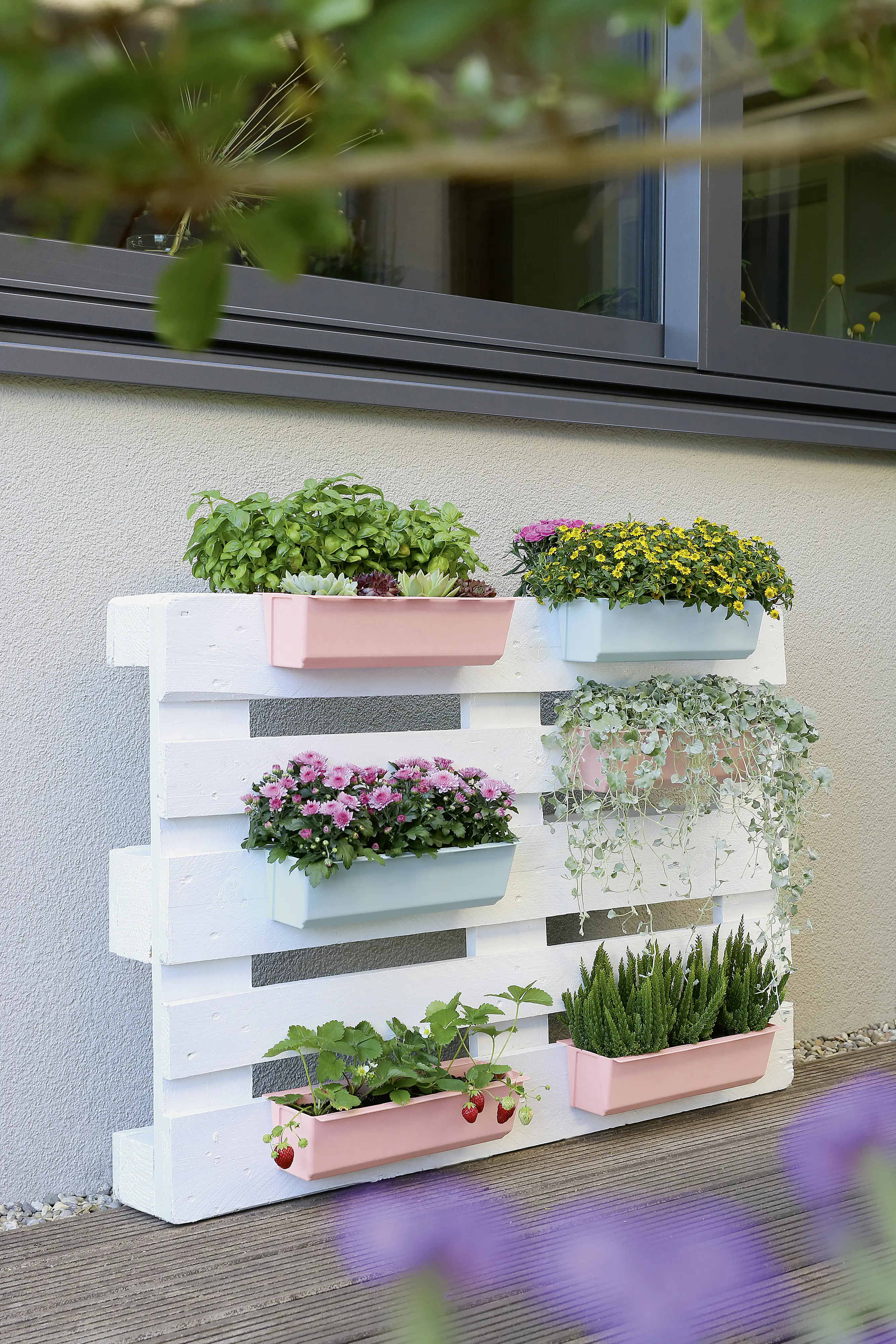 Geli Pflanztopf Easy 37 x 10 cm zartblau für Europalette