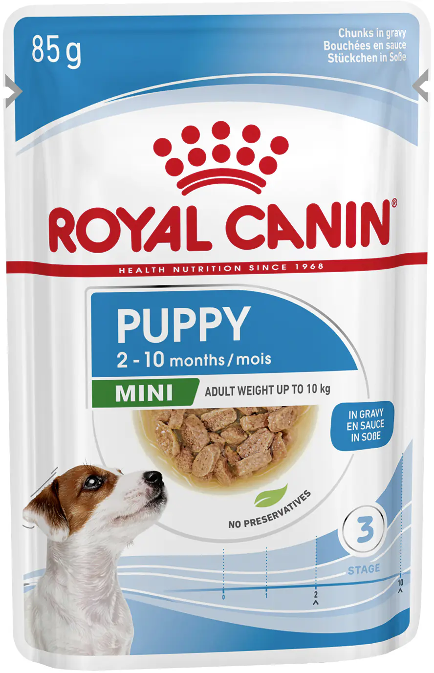 Royal Canin Hundenassfutter Junior 85 g Mini Puppy in Soße