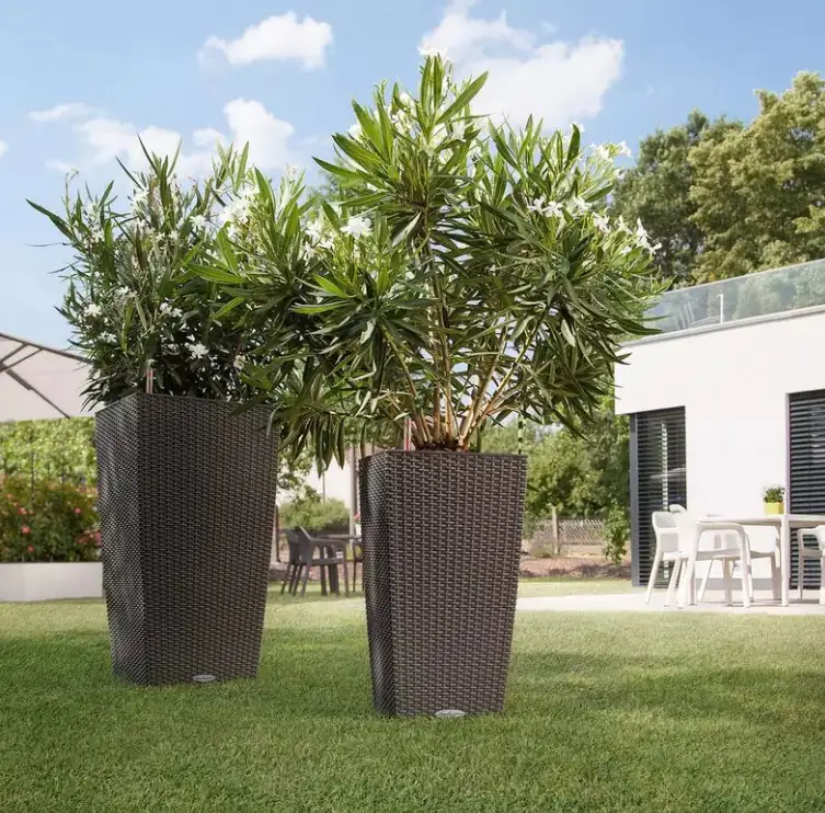 Lechuza Pflanzgefäß Cubico Cottage 40 lichtgrau