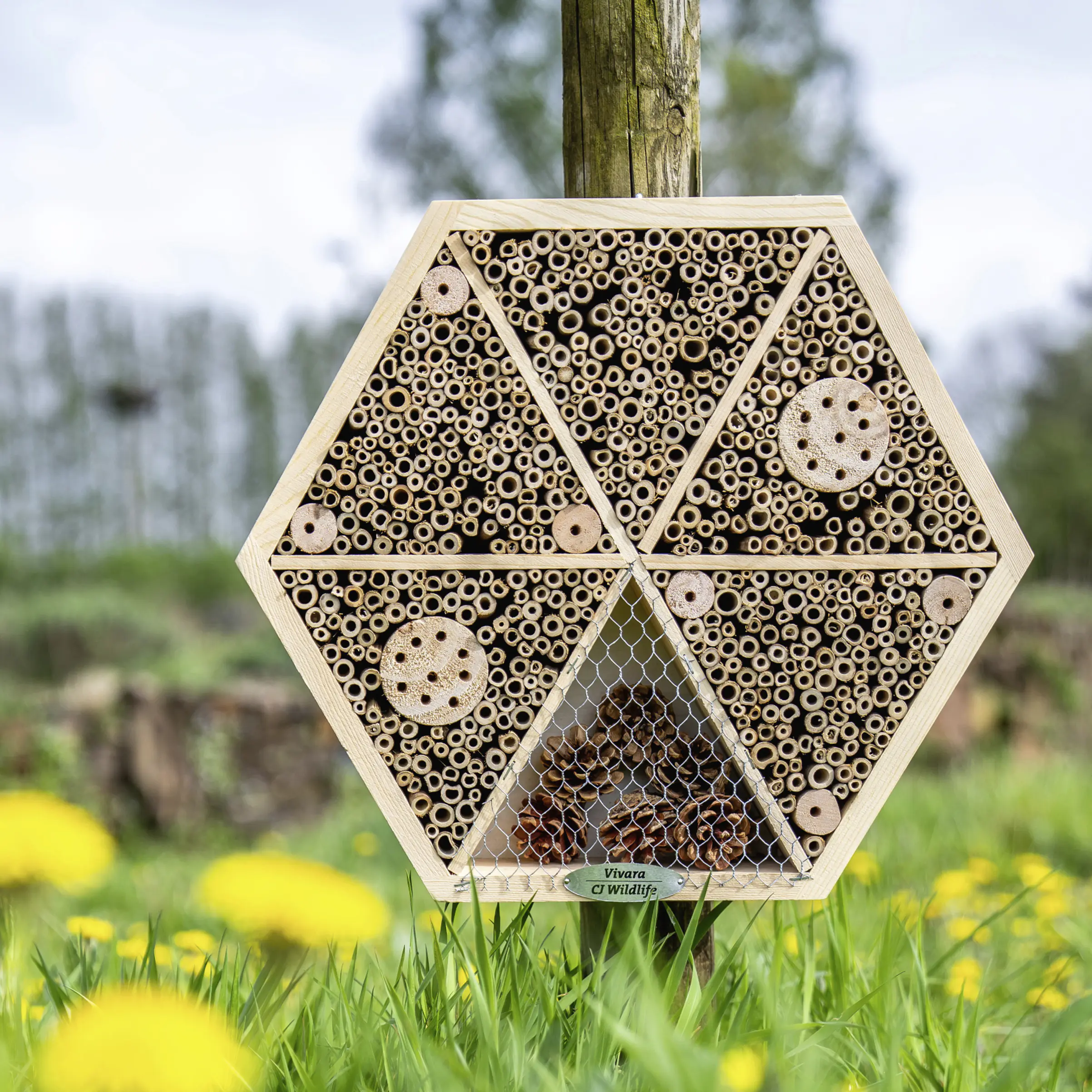 CJ Wildlife Insektenhaus Hexagon natur 8 x 33,6 x 33,6 cm