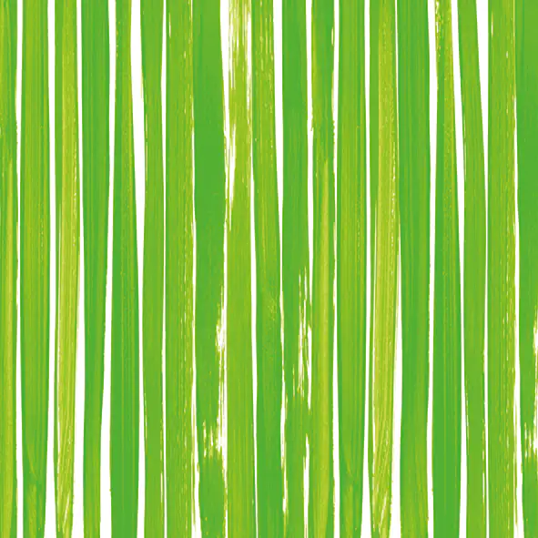 Braun & Company Serviette Brush Stripe grün 33 x 33 cm - 20er Pack