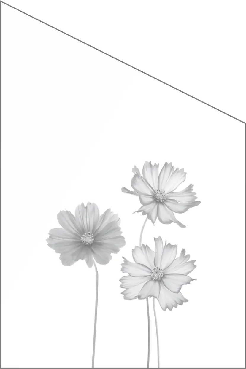 Ambiente Glaszaun Dekor 93 schräg 120 x 180/120 cm gehärtetes 8 mm Glas