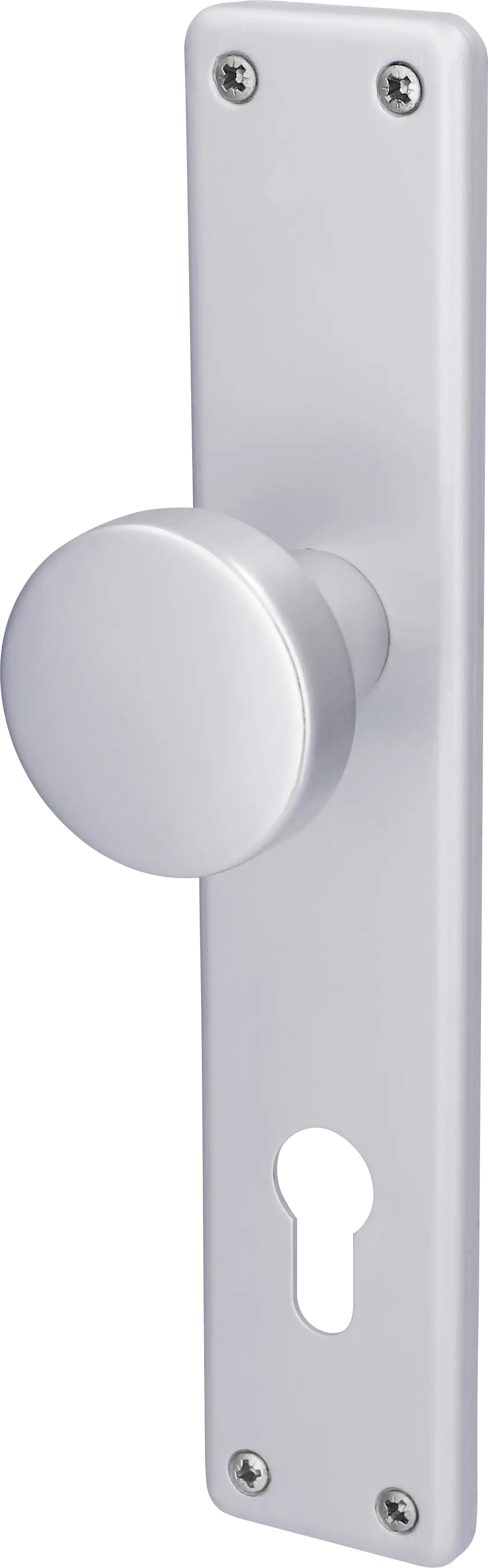 Alpertec PZ-Knopflangschild Tanja Aluminium silber eckig