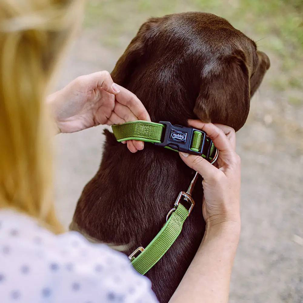 Nobby Halsband Classic Preno waldgrün Nobby Halsband Classic Preno waldgrün