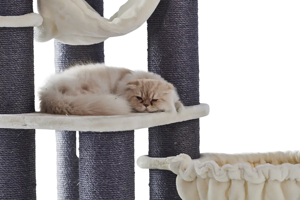 Nobby Kratzbaum Chilo H 165 cm cream