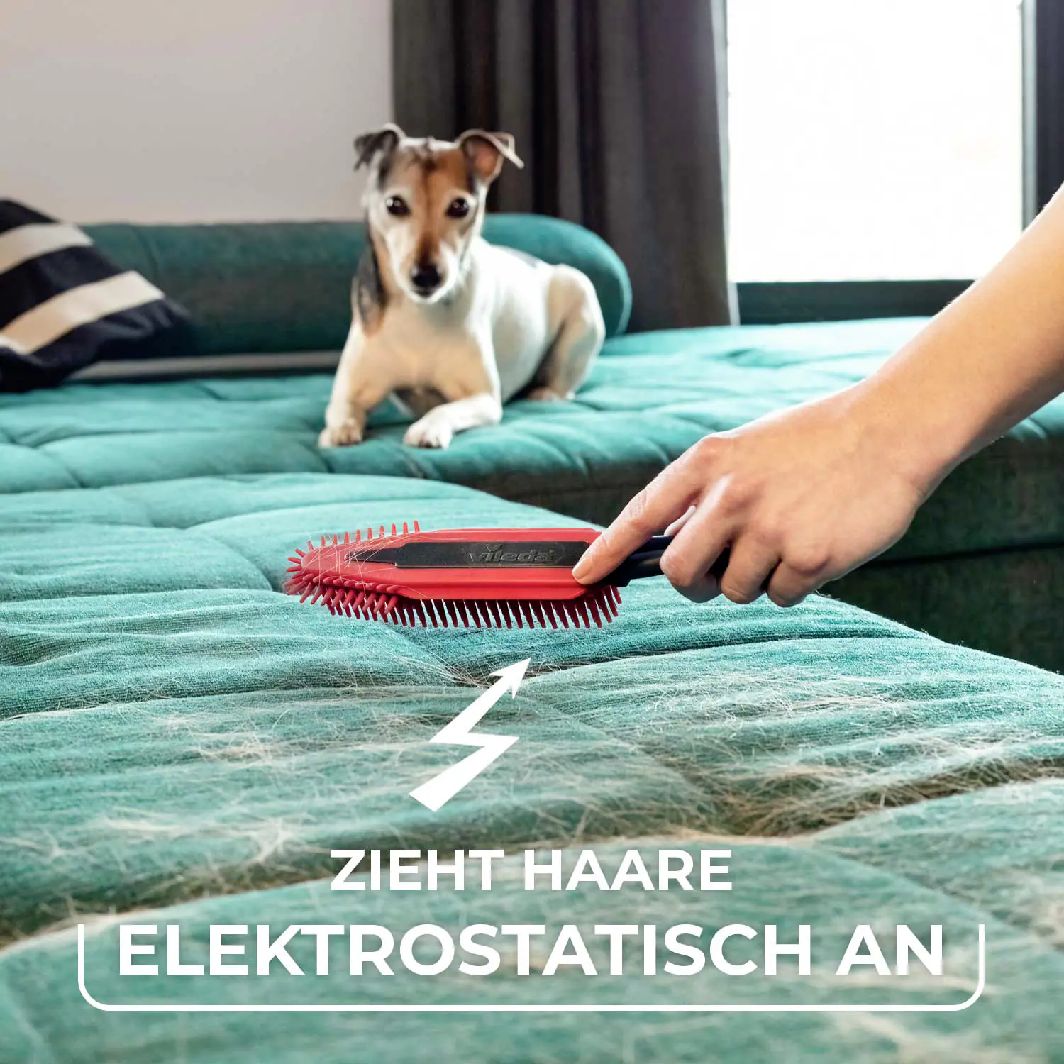 Vileda elektrostatische Bürste Pet Pro