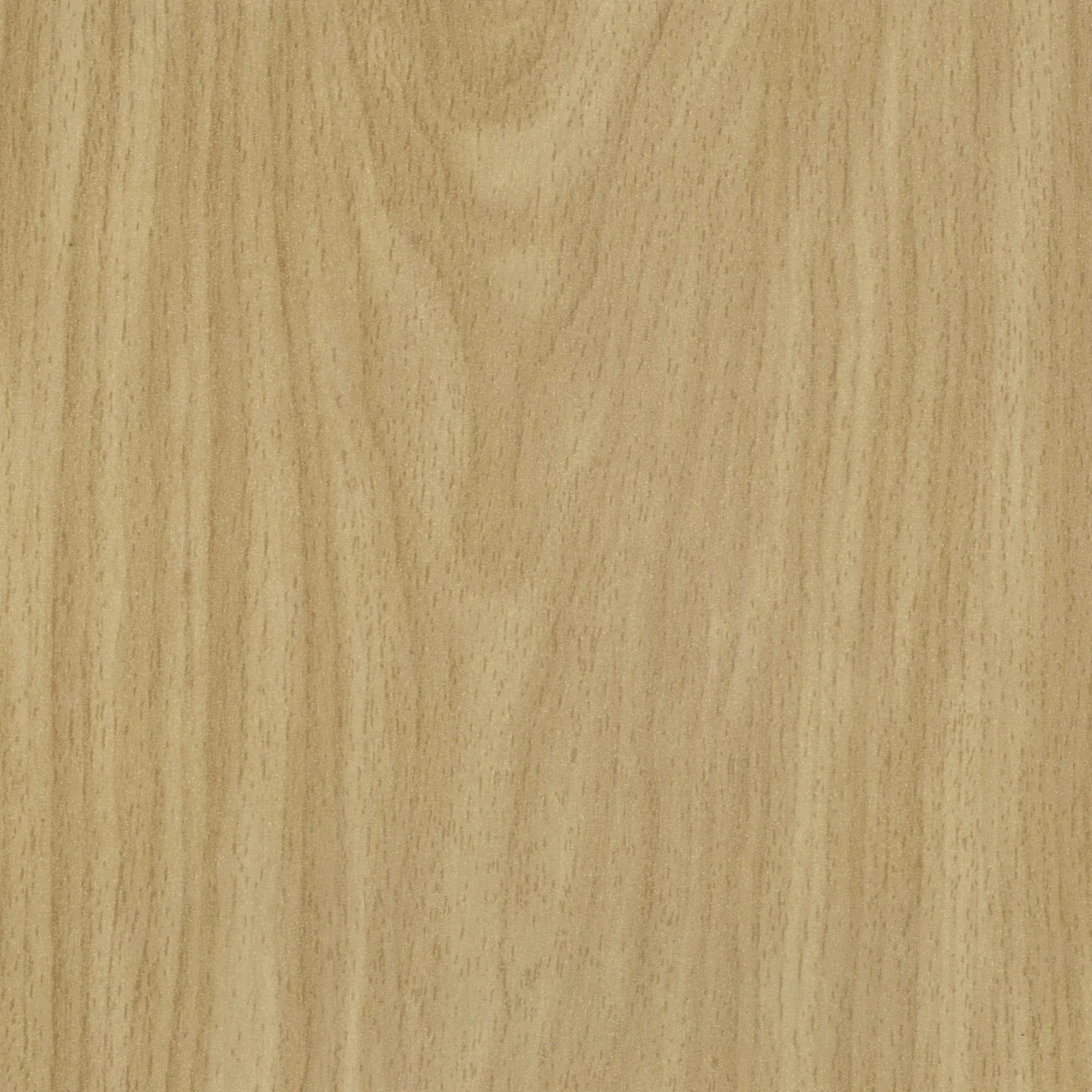 Neuhofer Fußleiste 240 cm 58 x 19 mm Buche Royal SB Neuhofer Fußleiste 240 cm 58 x 19 mm Buche Royal SB