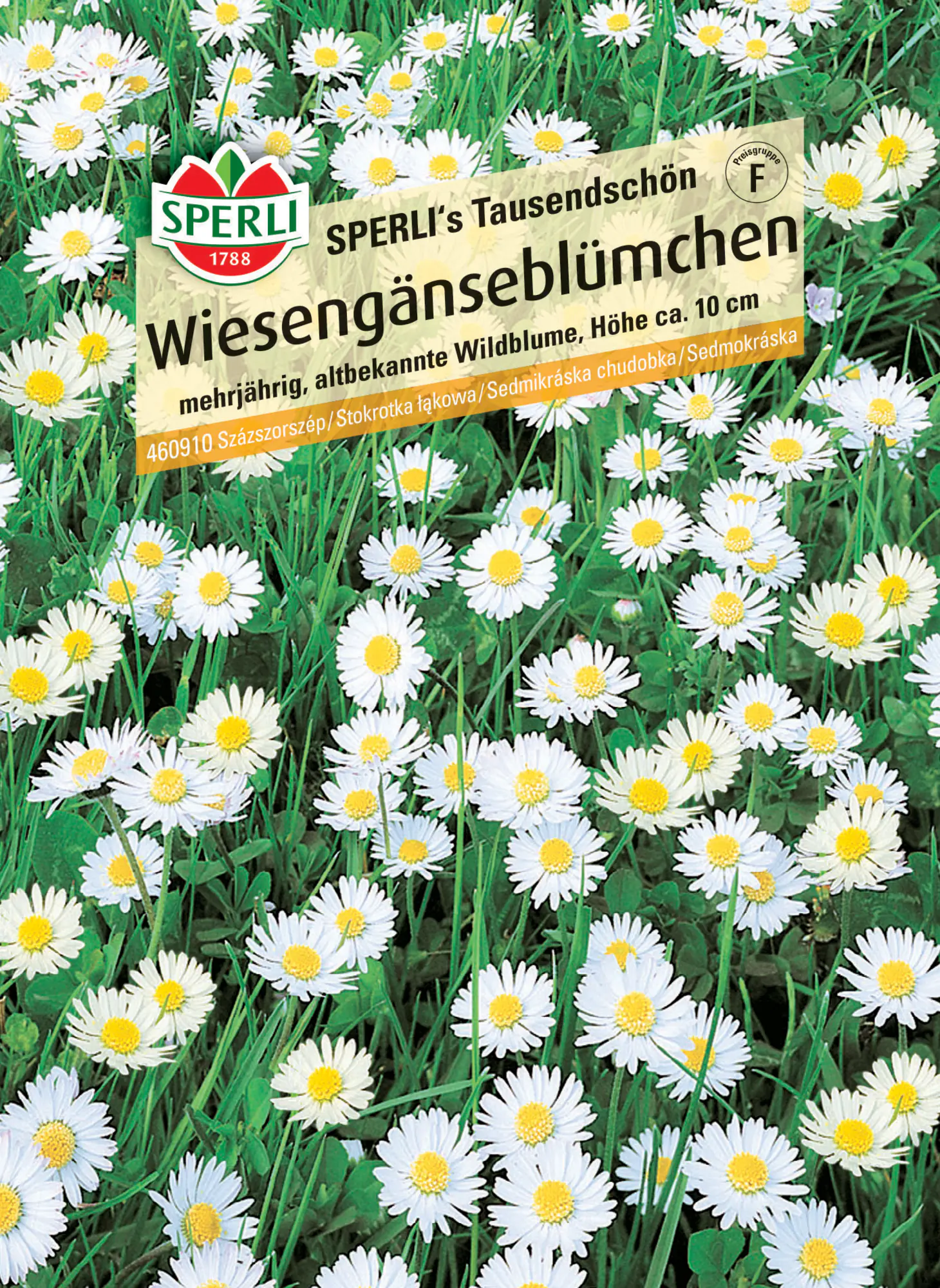 Sperli Saatgut Wiesengänseblümchen Tausendschön für ca. 1-2 m²