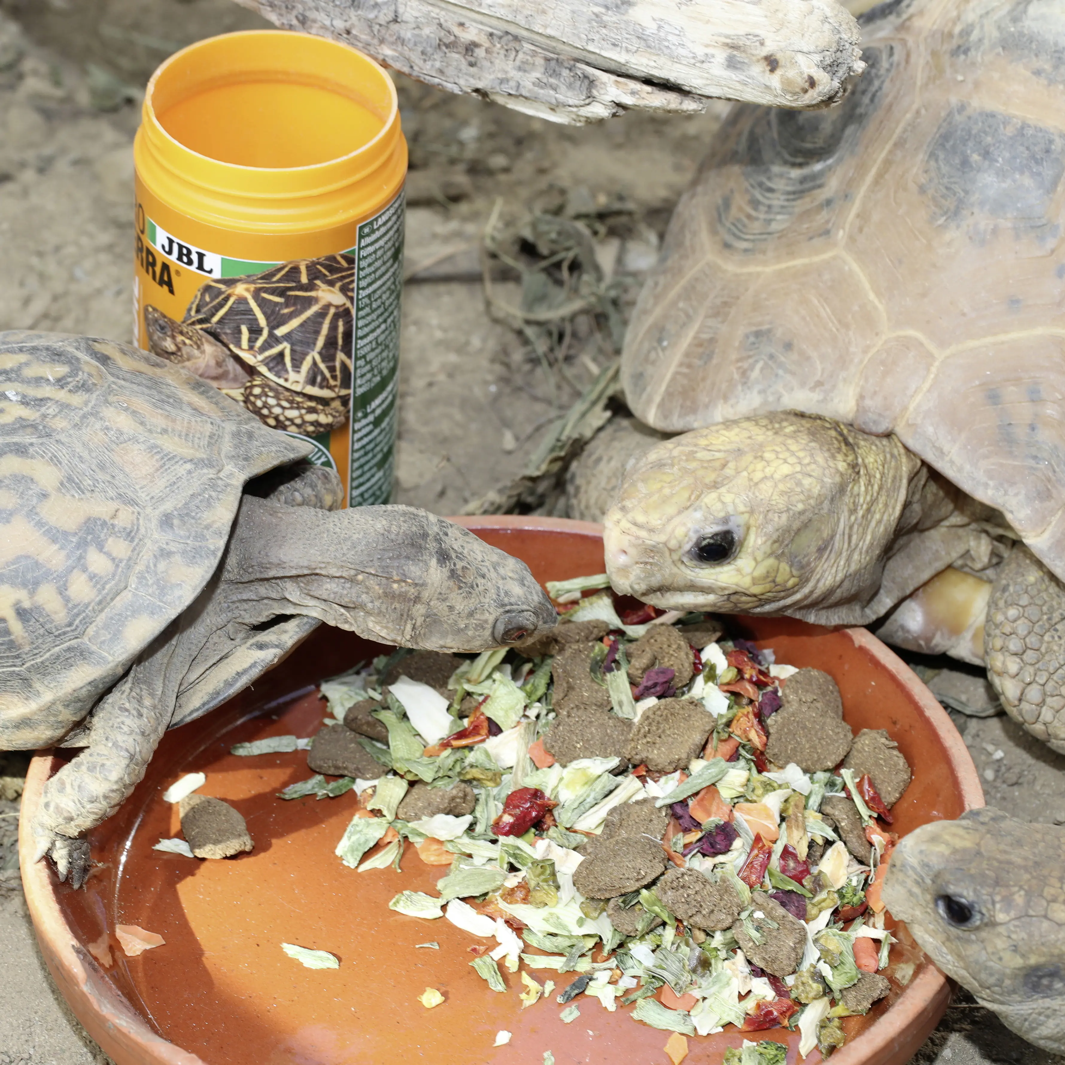 JBL Schildkrötenfutter Proterra Vegabil 250 ml
