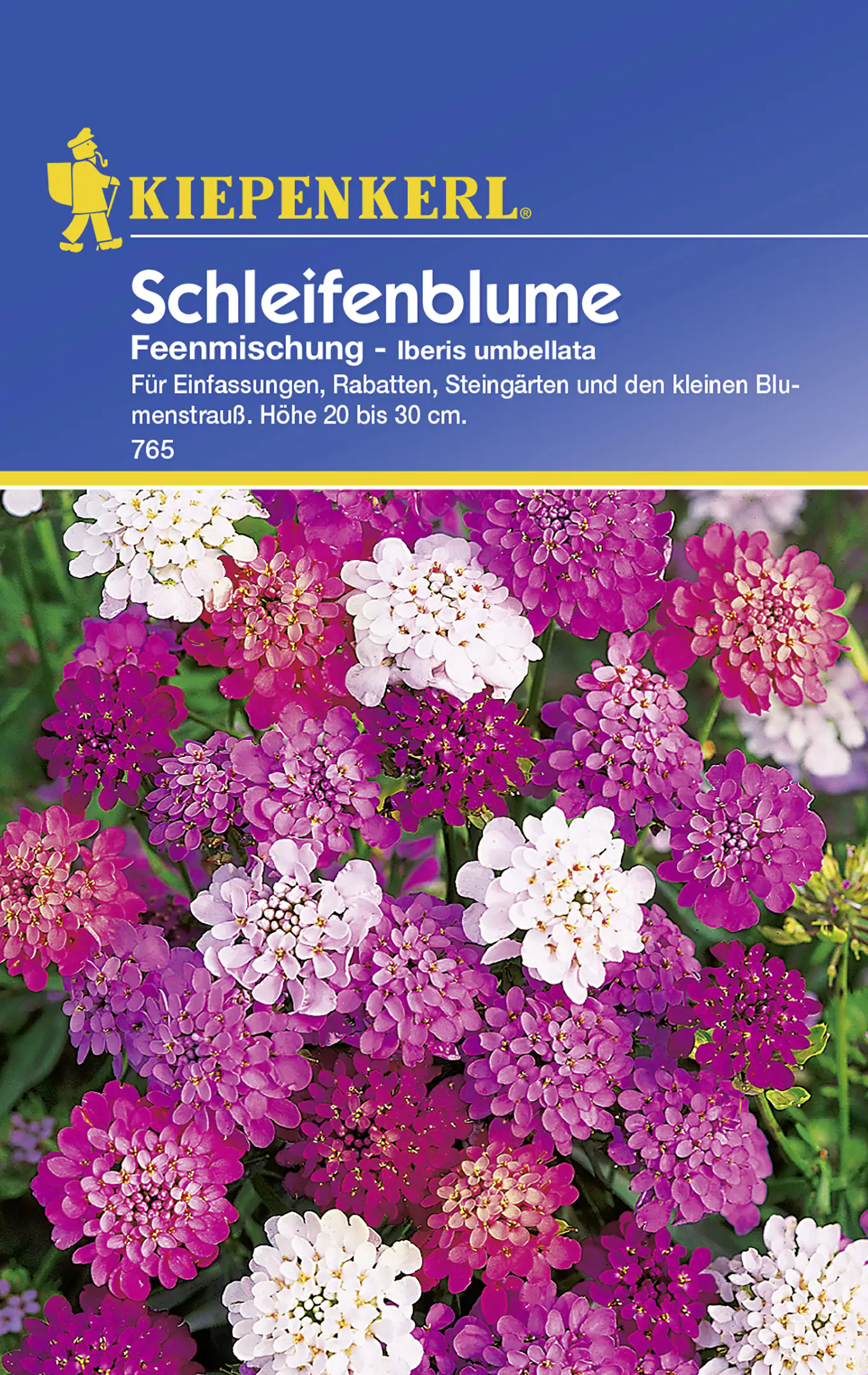 Kiepenkerl Schleifenblume Feenmischung Iberis umbellata, Inhalt: ca. 75 Pflanzen