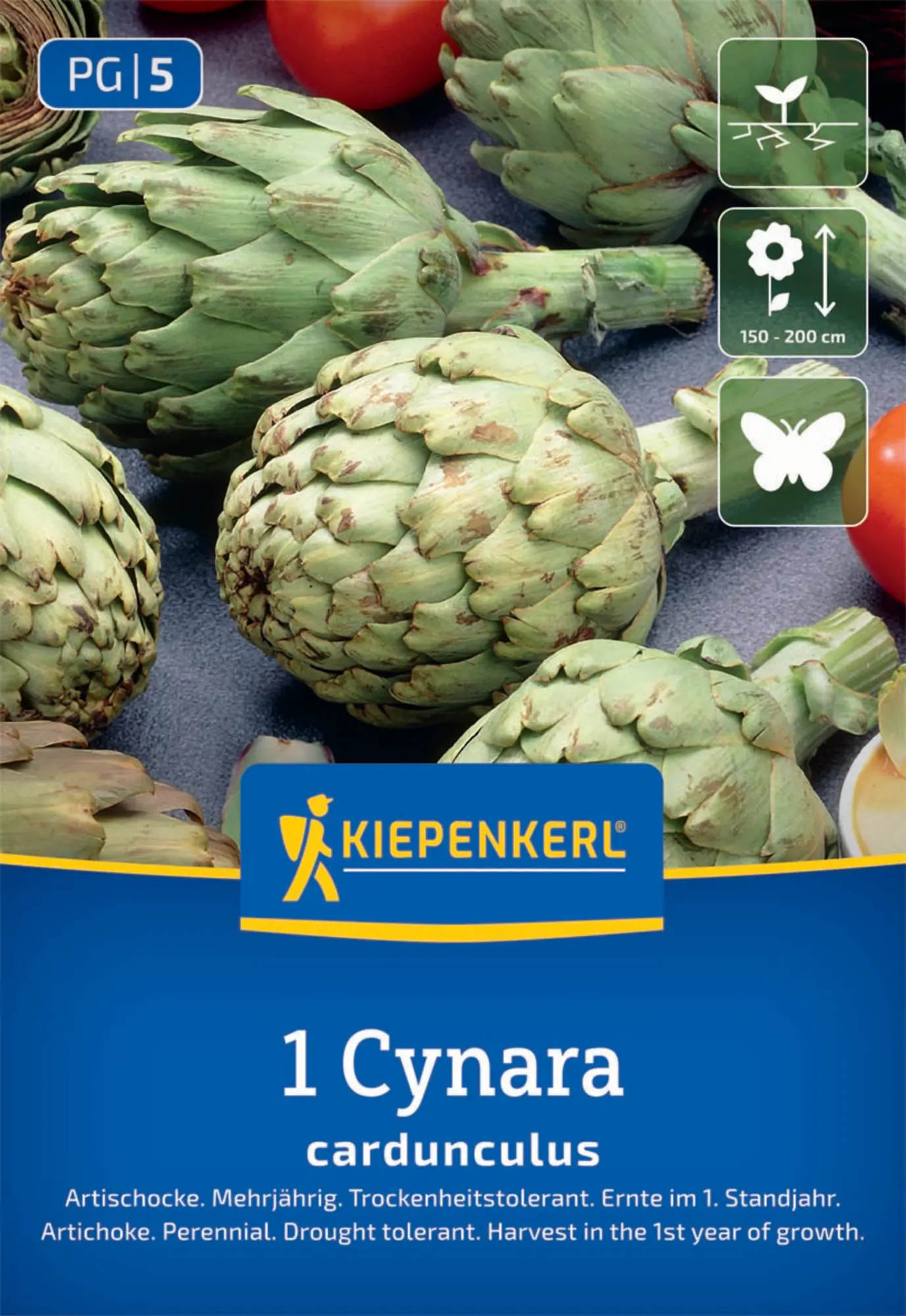 Kiepenkerl Pflanzgut Artischocke Cynara cardunculus 1 Stück