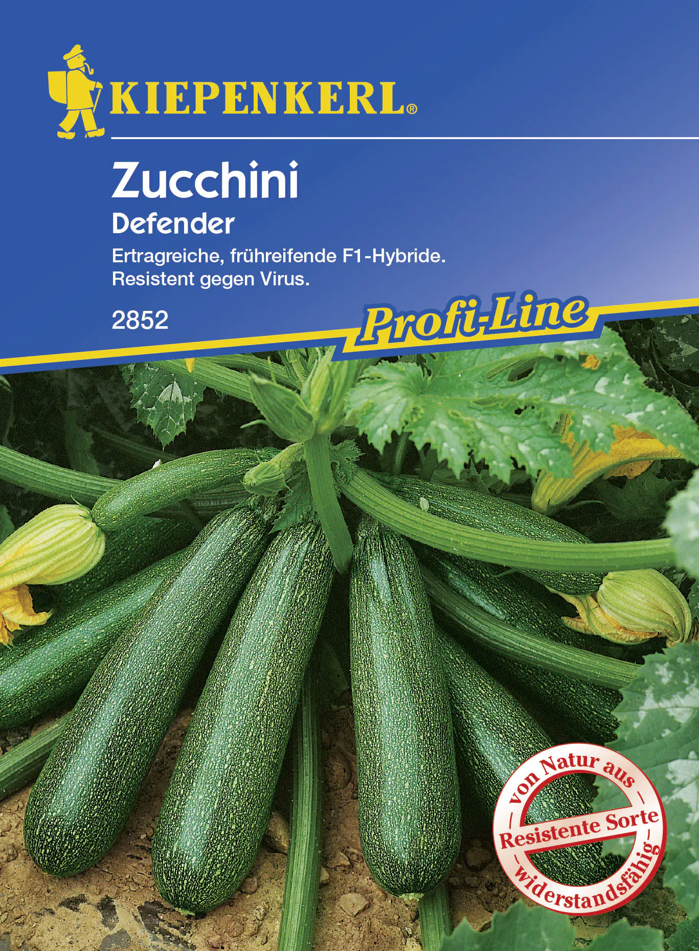 Kiepenkerl Zucchini Defender Cucurbita pepo, Inhalt: 6 Korn