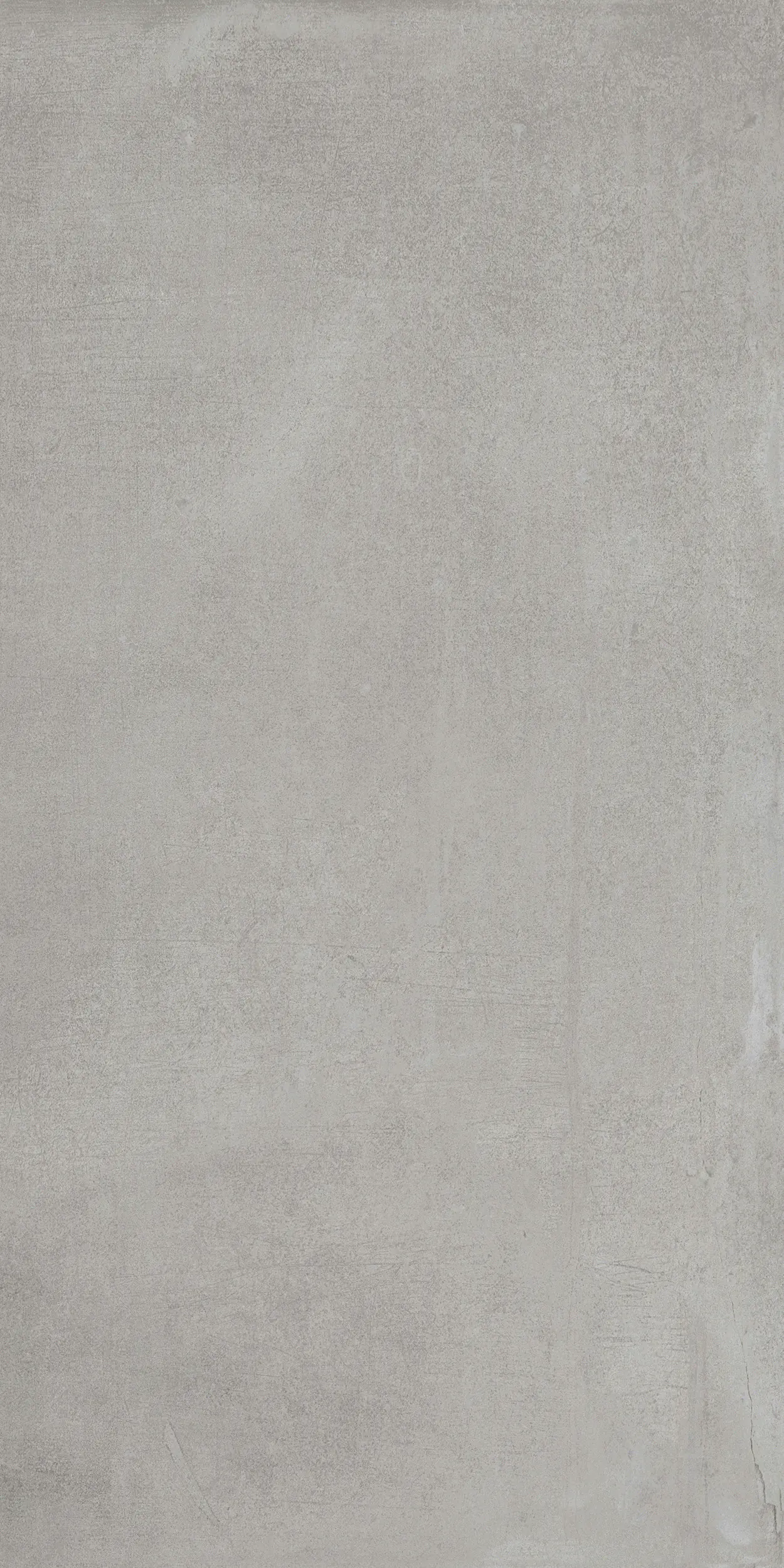 Wand- und Bodenfliese Feinsteinzeug Infinity 60 x 120 cm grau