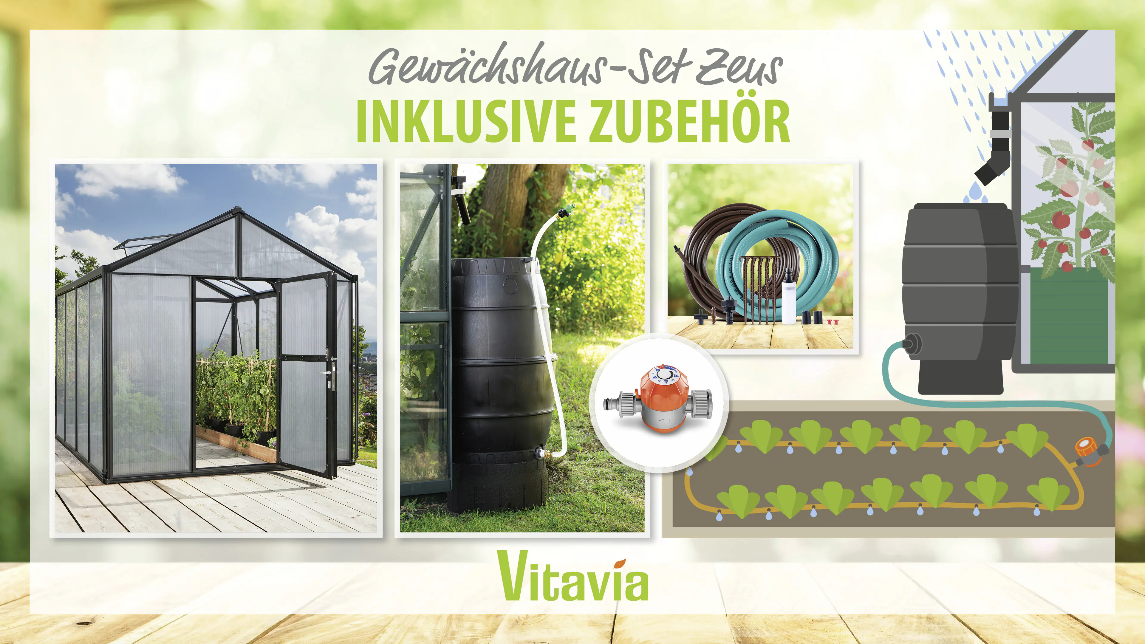 Vitavia Gewächshaus-Set Zeus 8100 HKP 16 mm schwarz 266 x 324 cm 