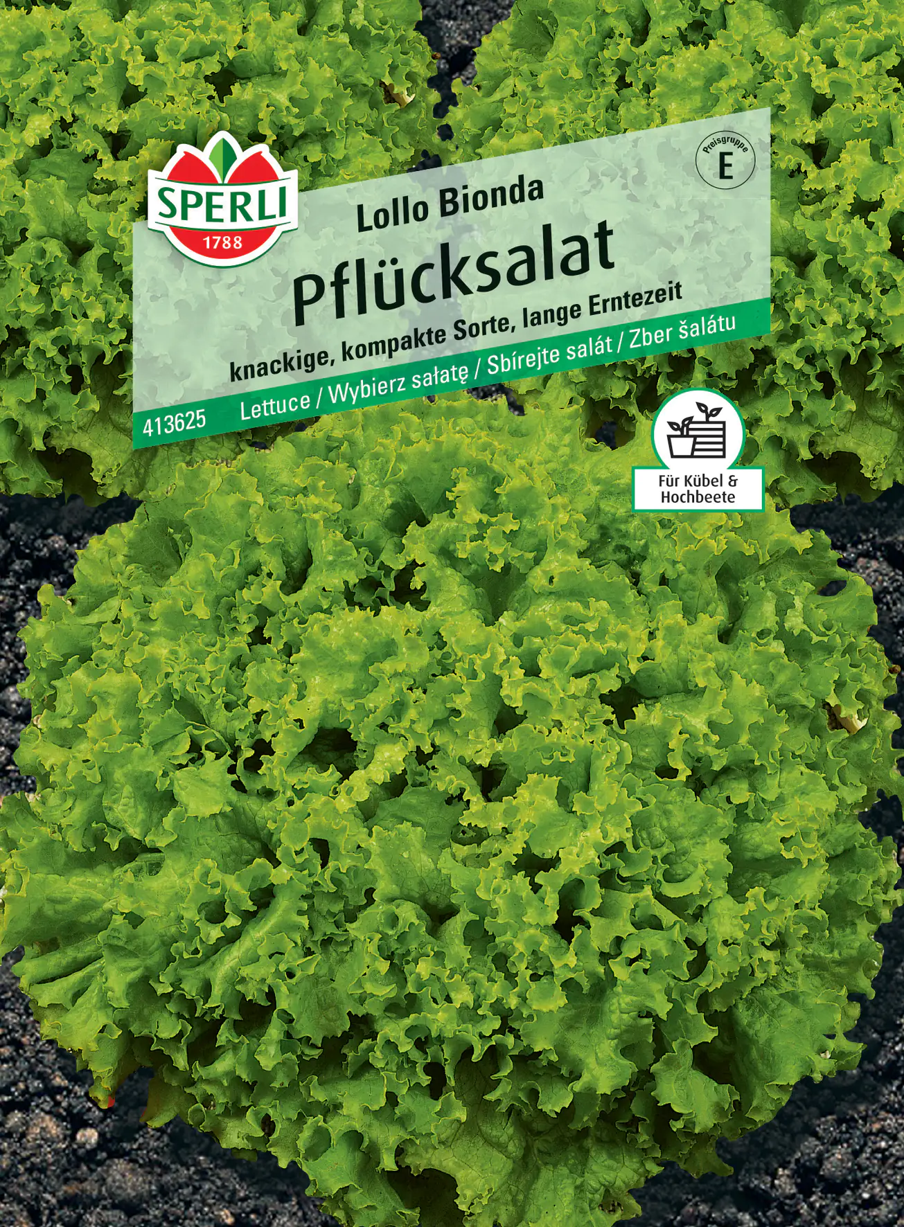 Sperli Pflücksalat Lollo Bionda