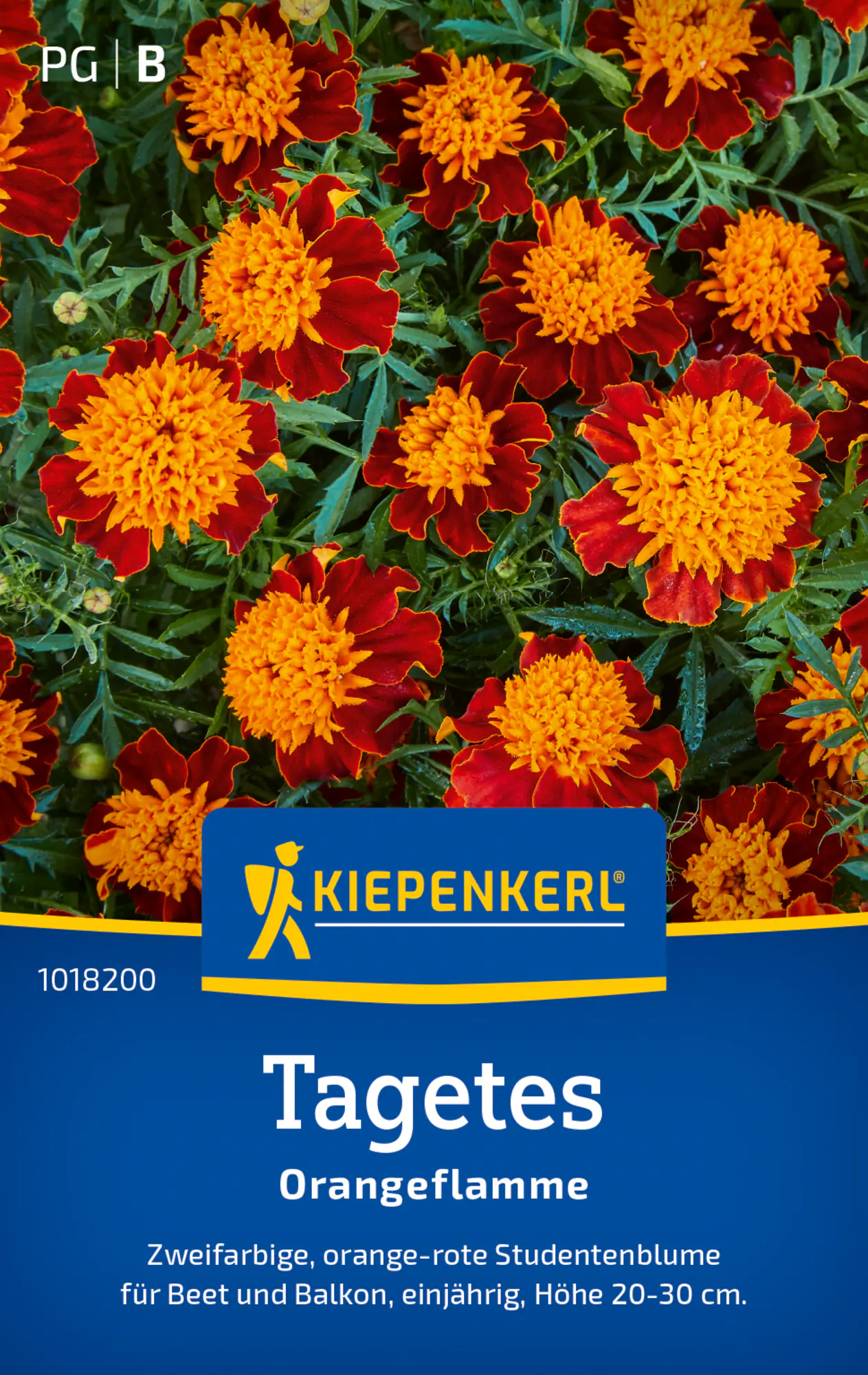 Kiepenkerl Blumensamen Tagetes Orangeflamme für ca. 50 Pflanzen
