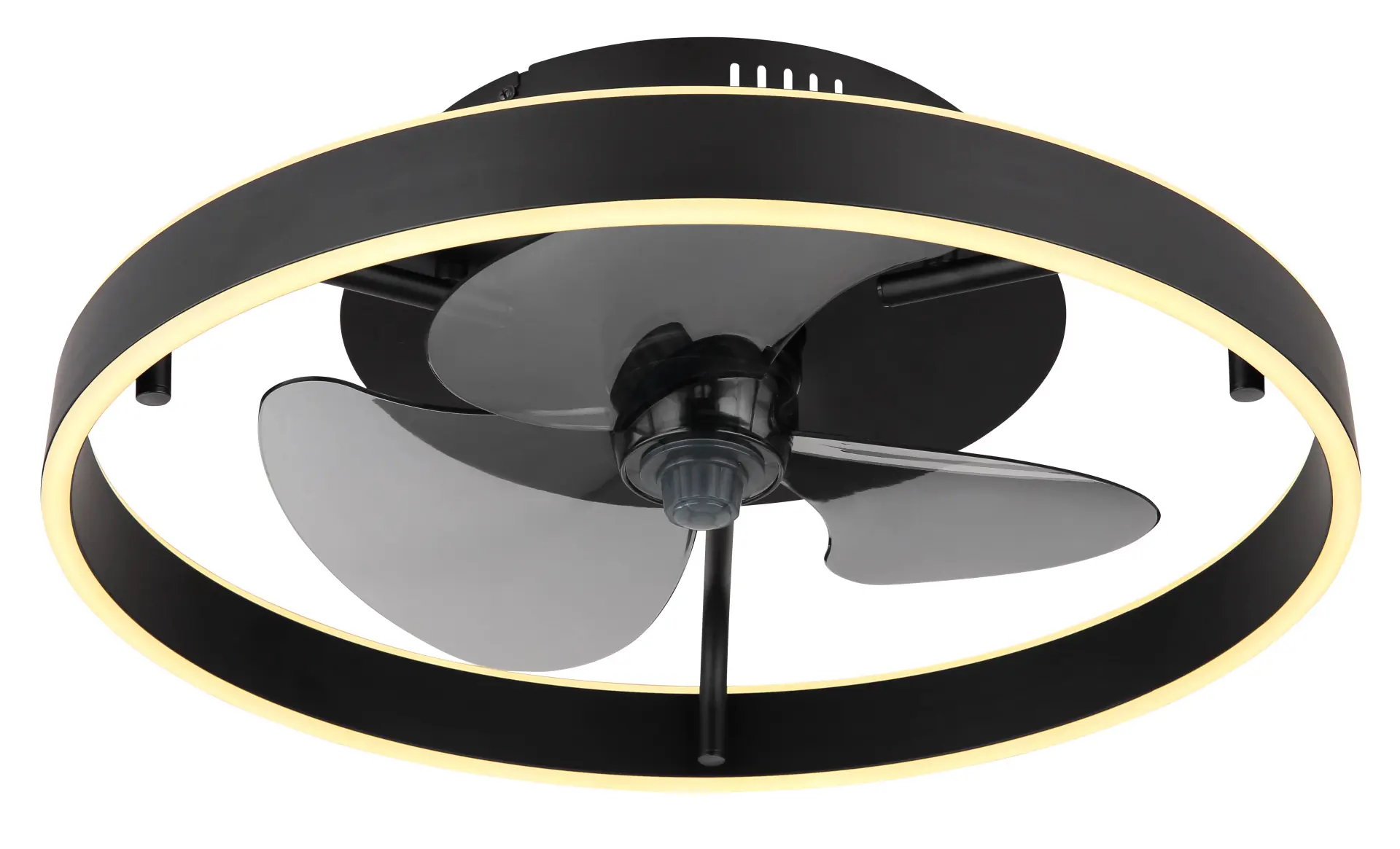 Globo Deckenventilator Conway Ø 50 cm 35 W schwarz CCT
