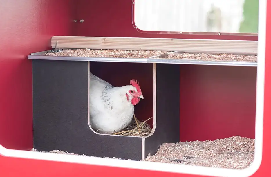 Kerbl fahrbarer Hühnerstall Mobile Coop 113 x 92 x 138 cm