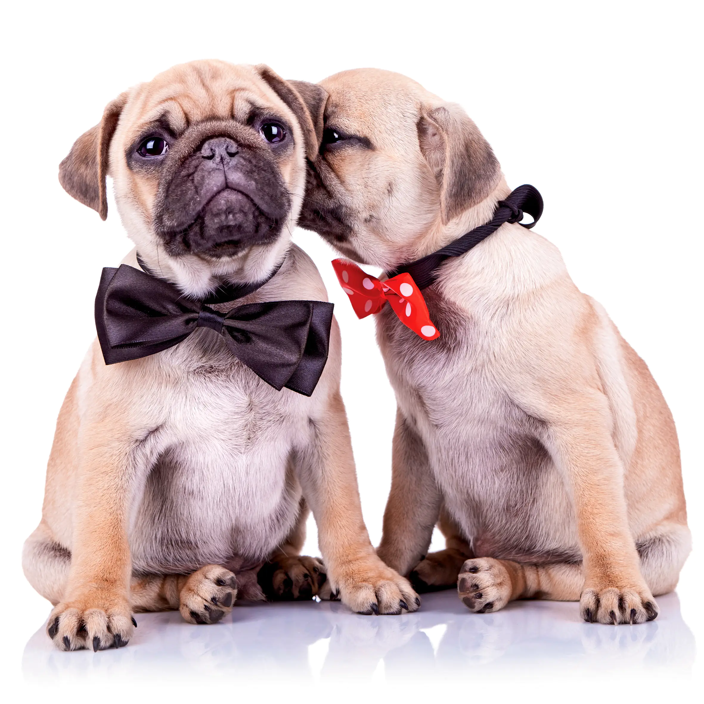 Deco-Block Bild - Couple 39 x 39 cm