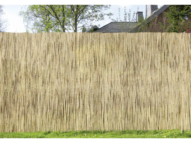 Schilfrohrmatte 1,6 x 6 m