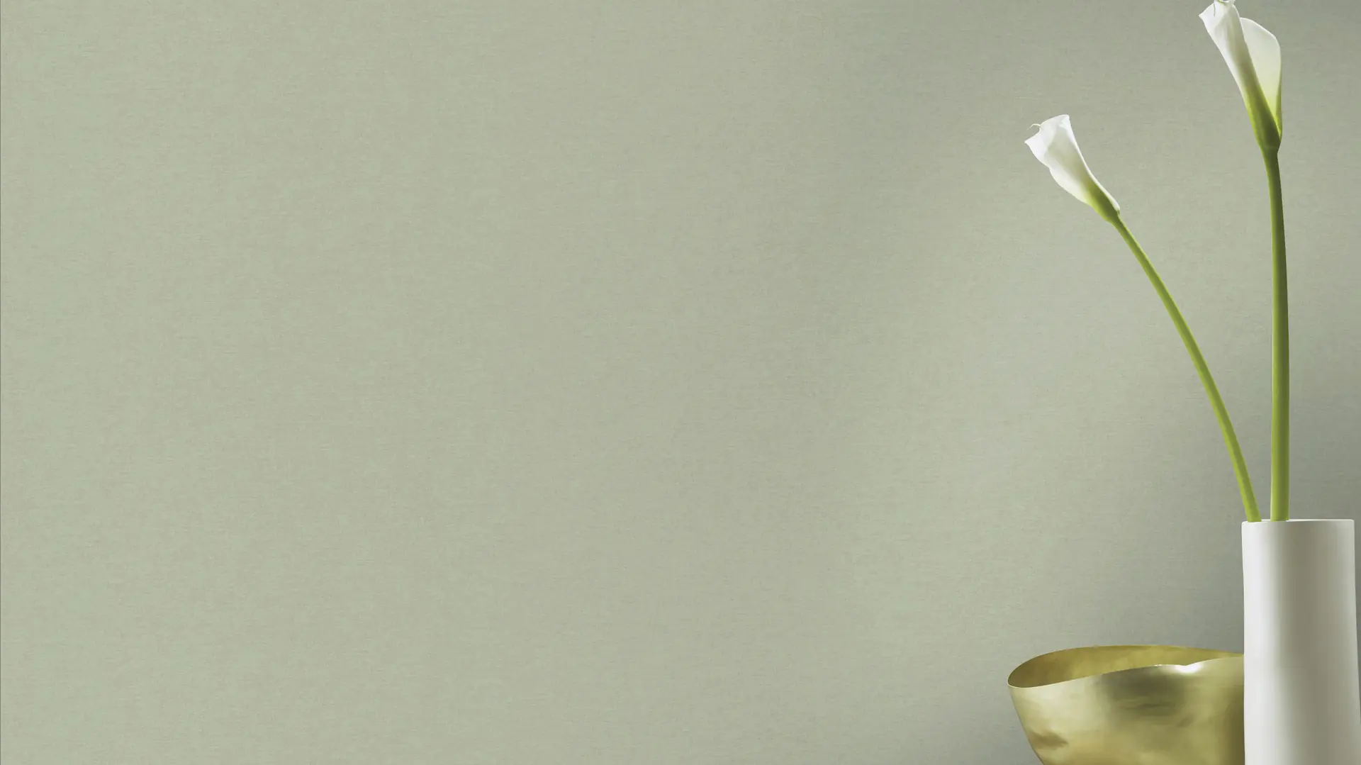 Schöner Wohnen Vliestapete Uni hellgrün 10,05 x 0,53 m