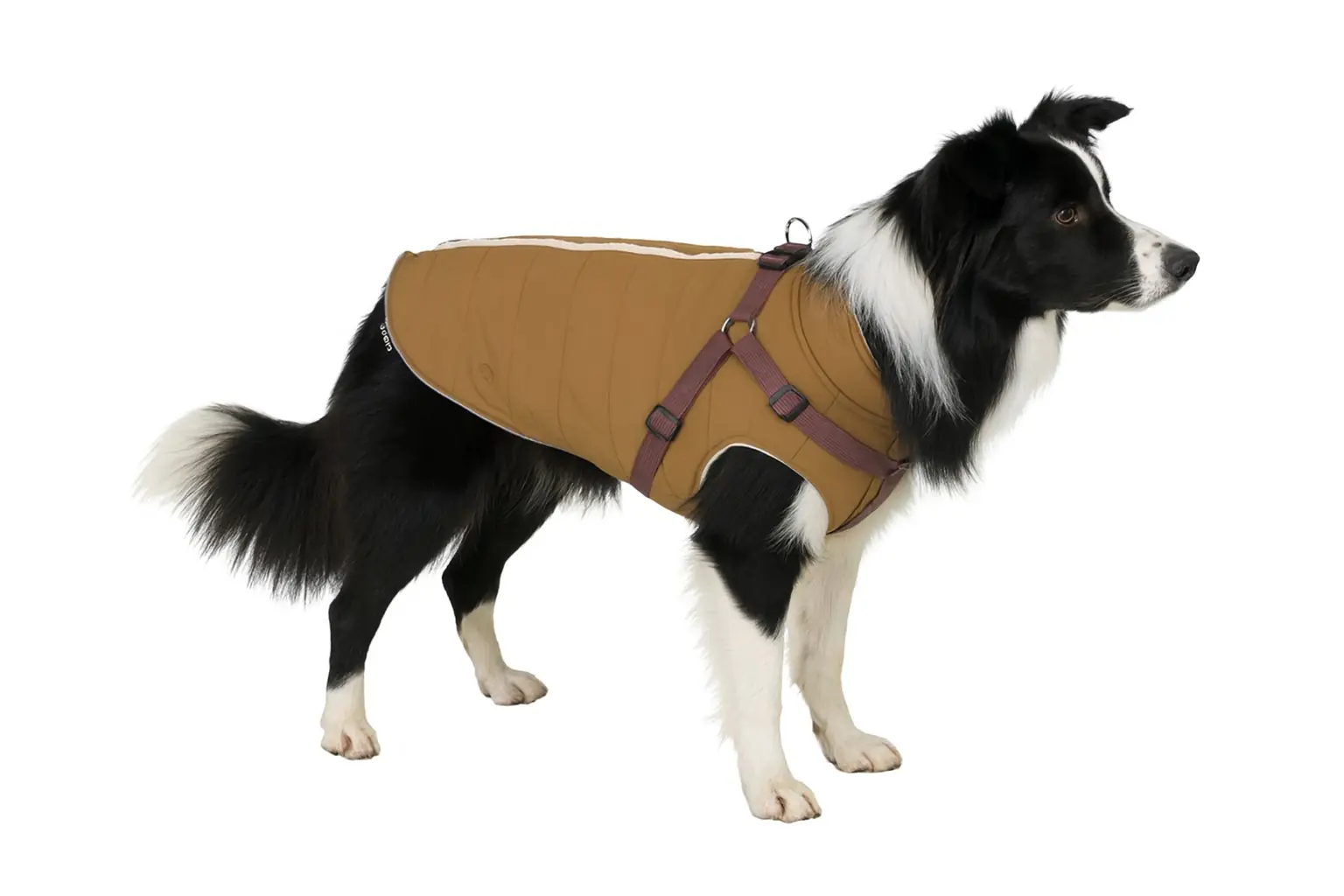 Nobby Hundemantel Sobak 2 in 1 caramel