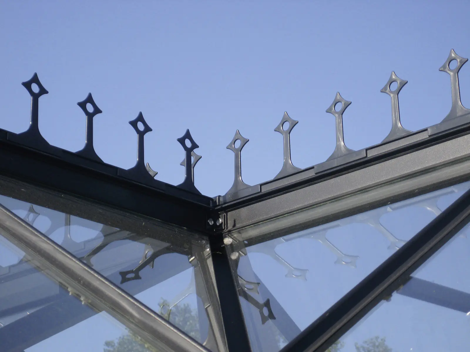 Vitavia Firstkrone zu Gewächshaus Sirius schwarz