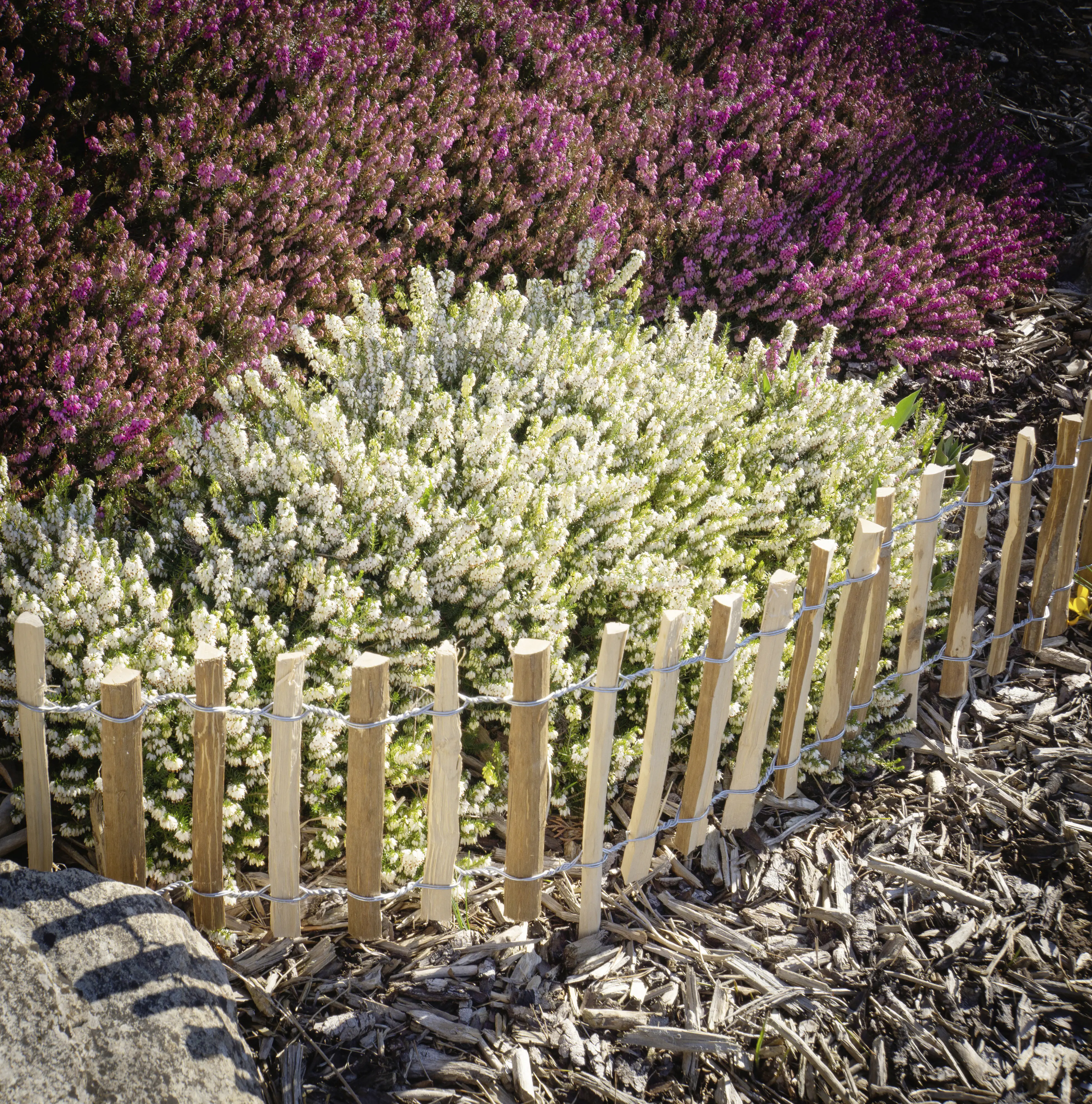 Floraworld Rollzaun Beetkante 2 m x 28/45 cm natur