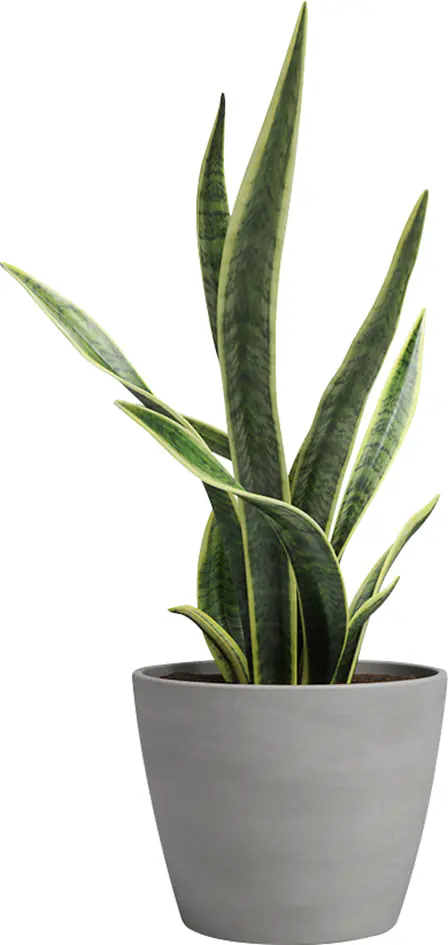 Artevasi Pflanztopf Emília Terrakotta grau Ø 16 x 12 cm