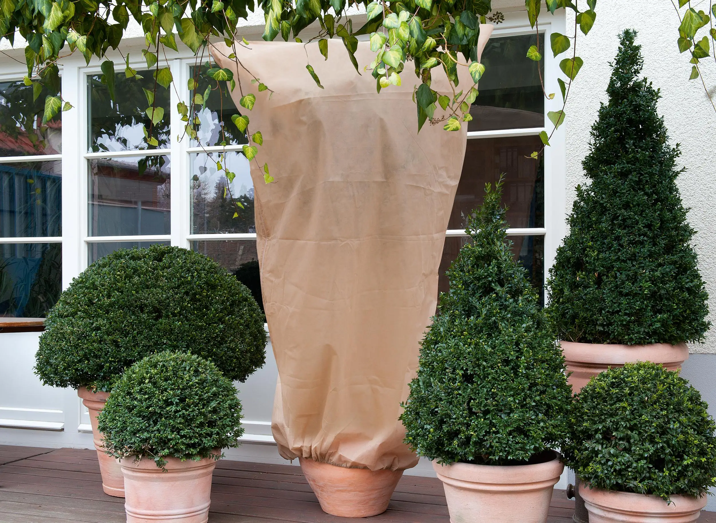 Wintervlieshaube 1,3 x 1,6 m beige Wintervlieshaube 1,3 x 1,6 m beige