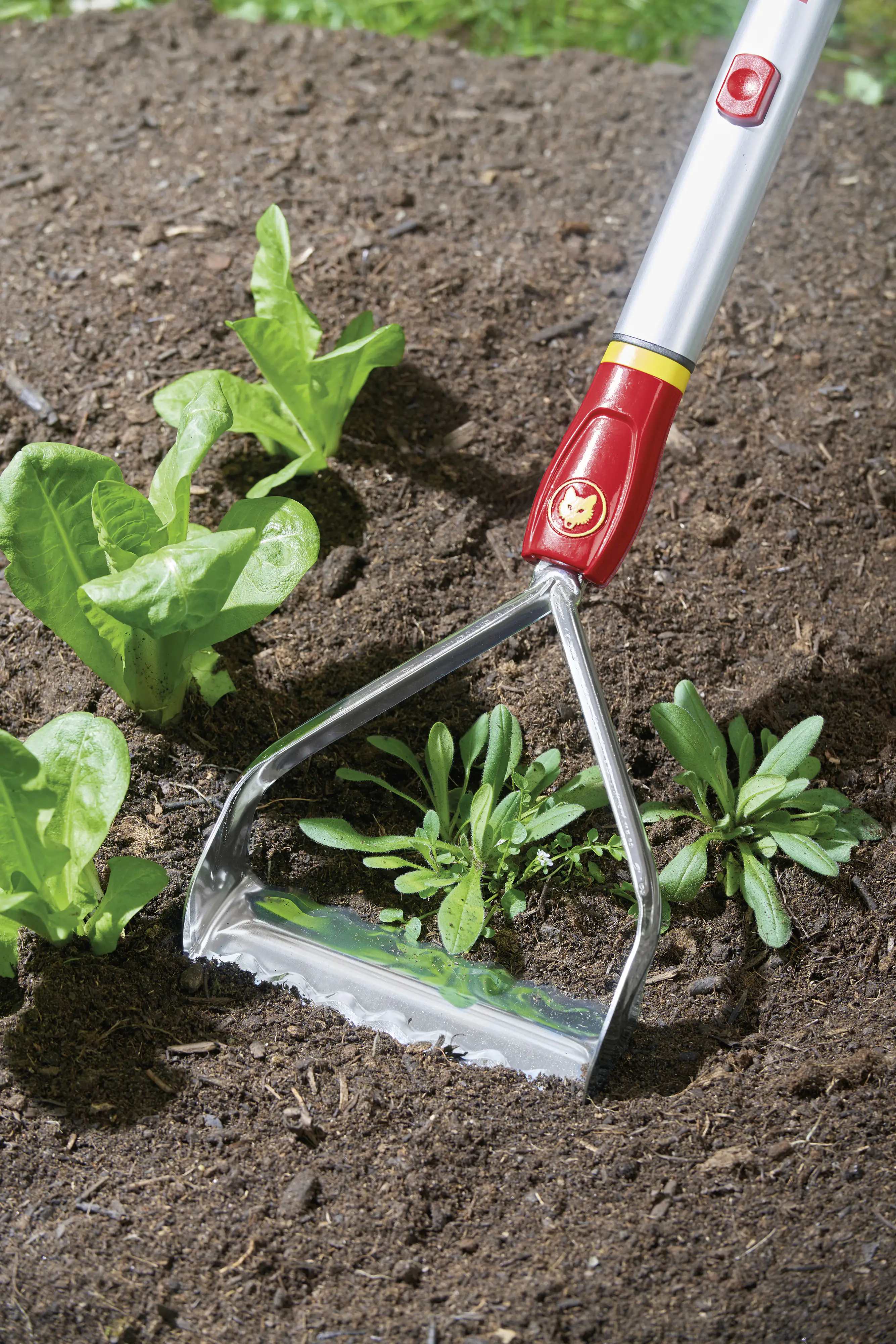 Wolf Garten Unkrautkuli RF-M 15 cm Arbeitsbreite