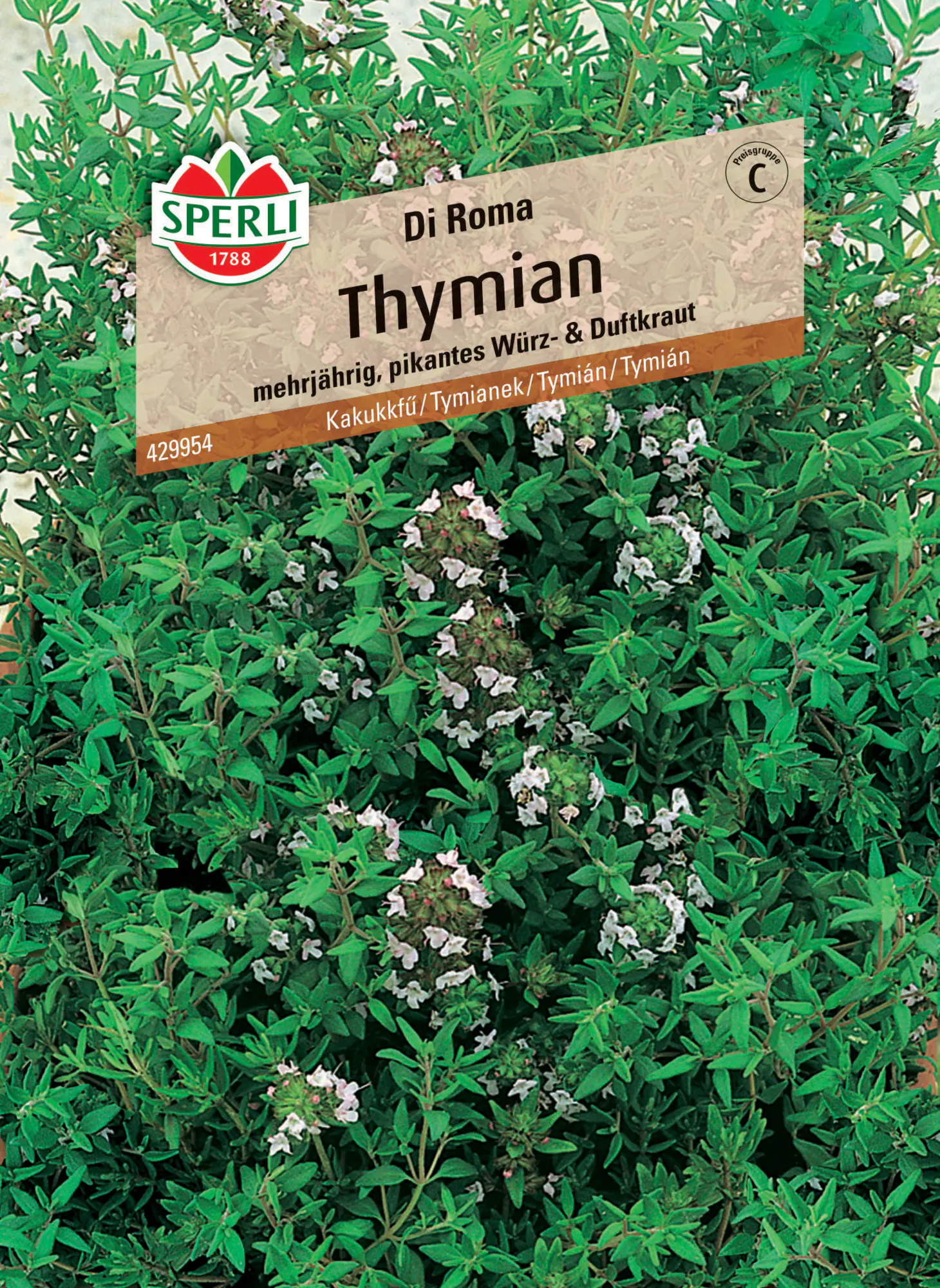 Sperli Thymian Di Roma