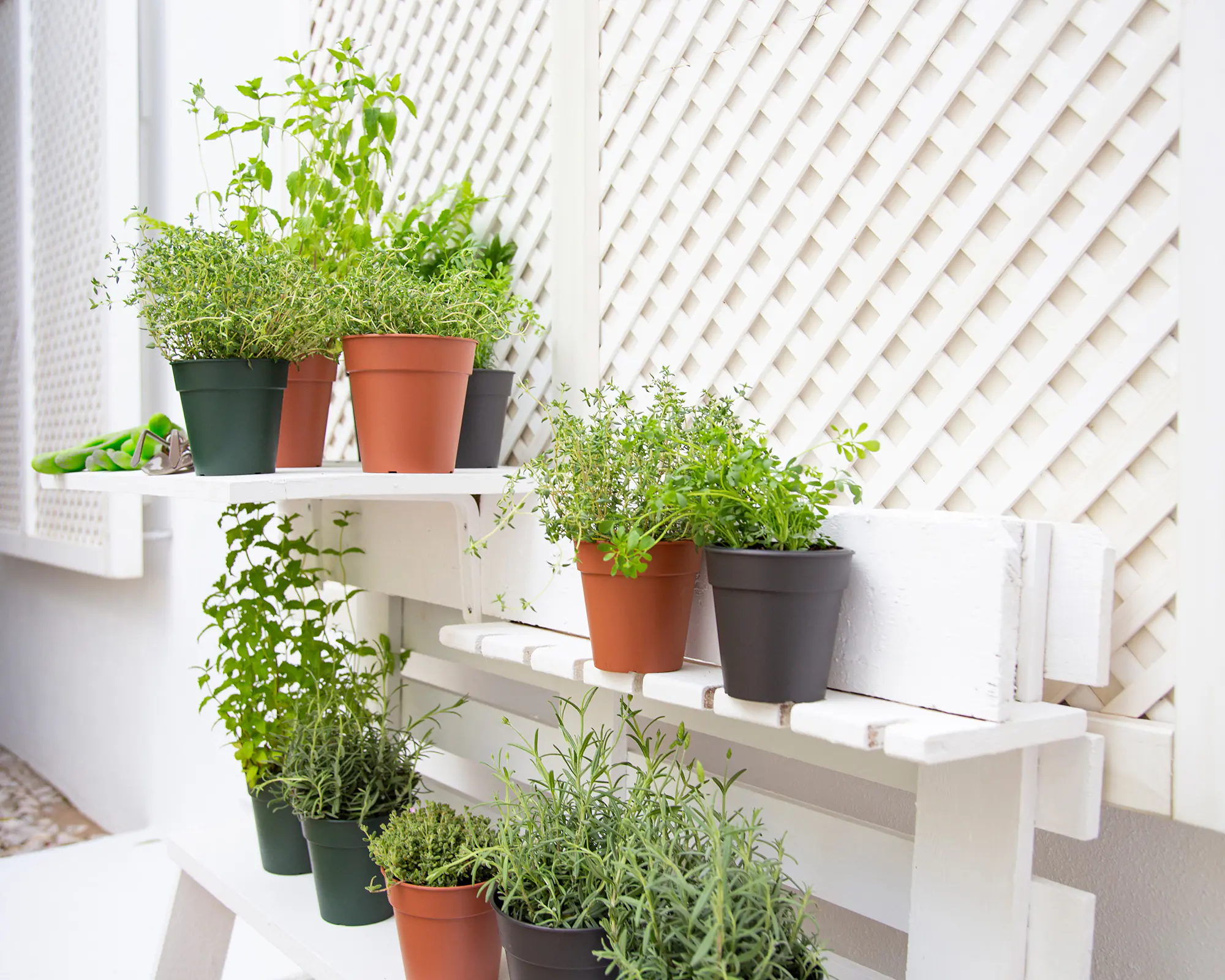 Artevasi Anzuchttopf Madagascar Kunststoff trockengrün Ø 19 x 17 cm 